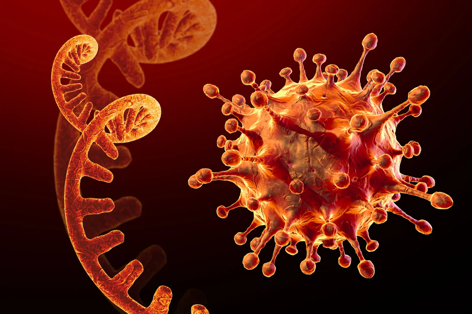 New Covid variant 'Eris' detected, should you be worried?