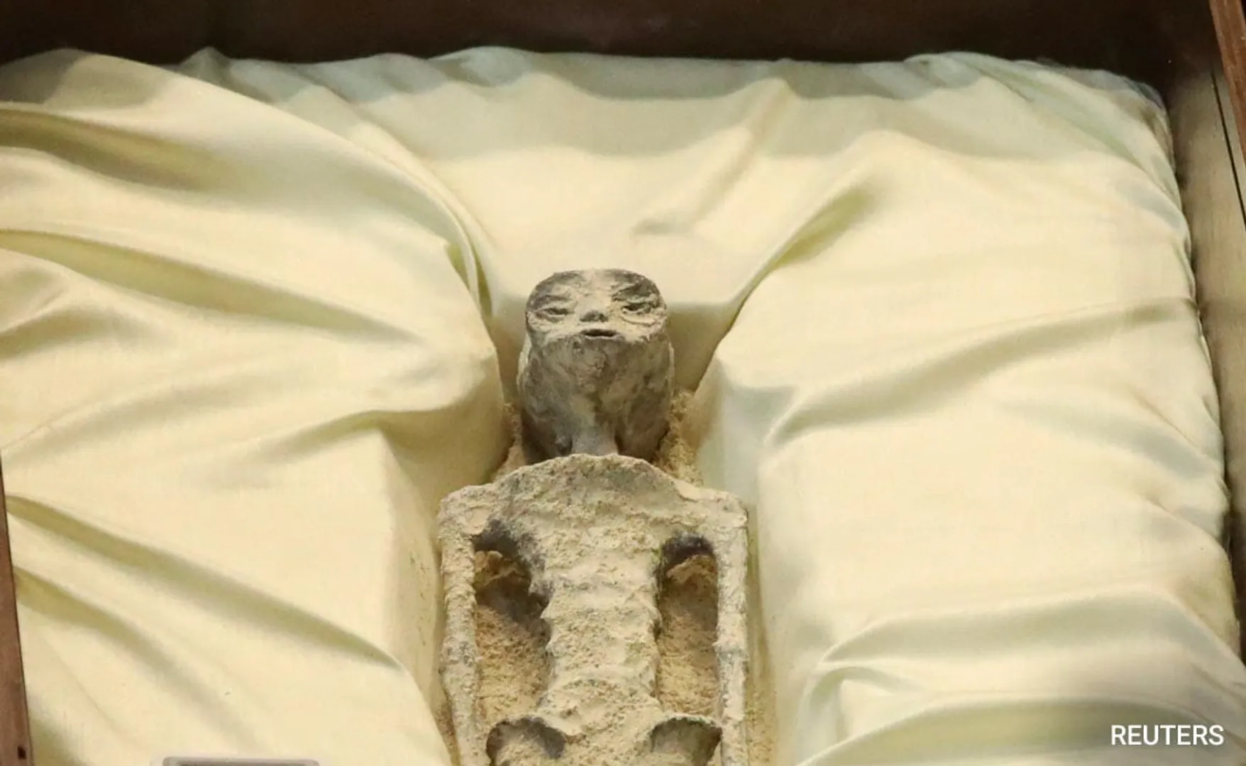 'It was alive': Mexican doctors examine non-human-like alien bodies
