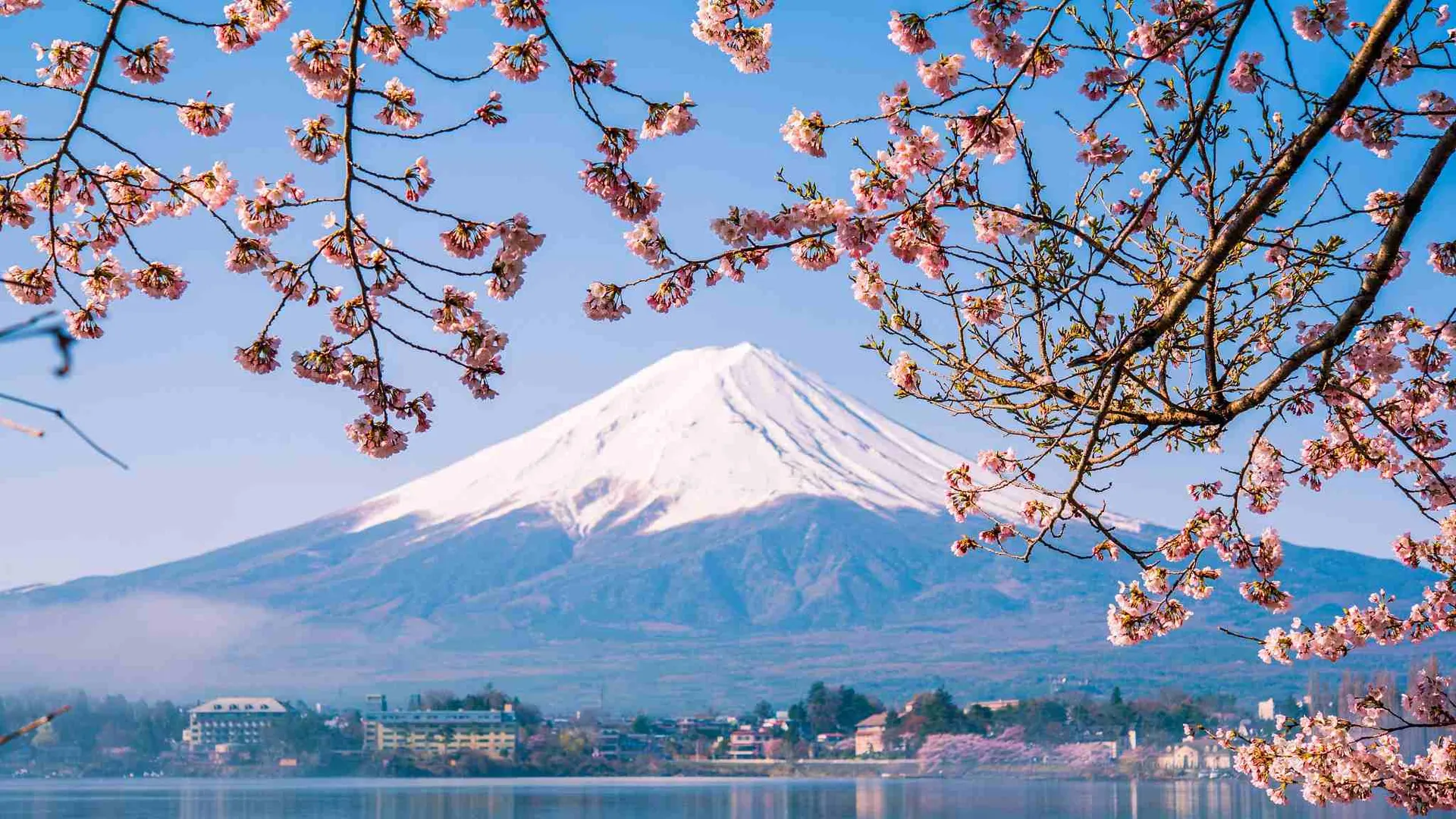 Mount Fuji