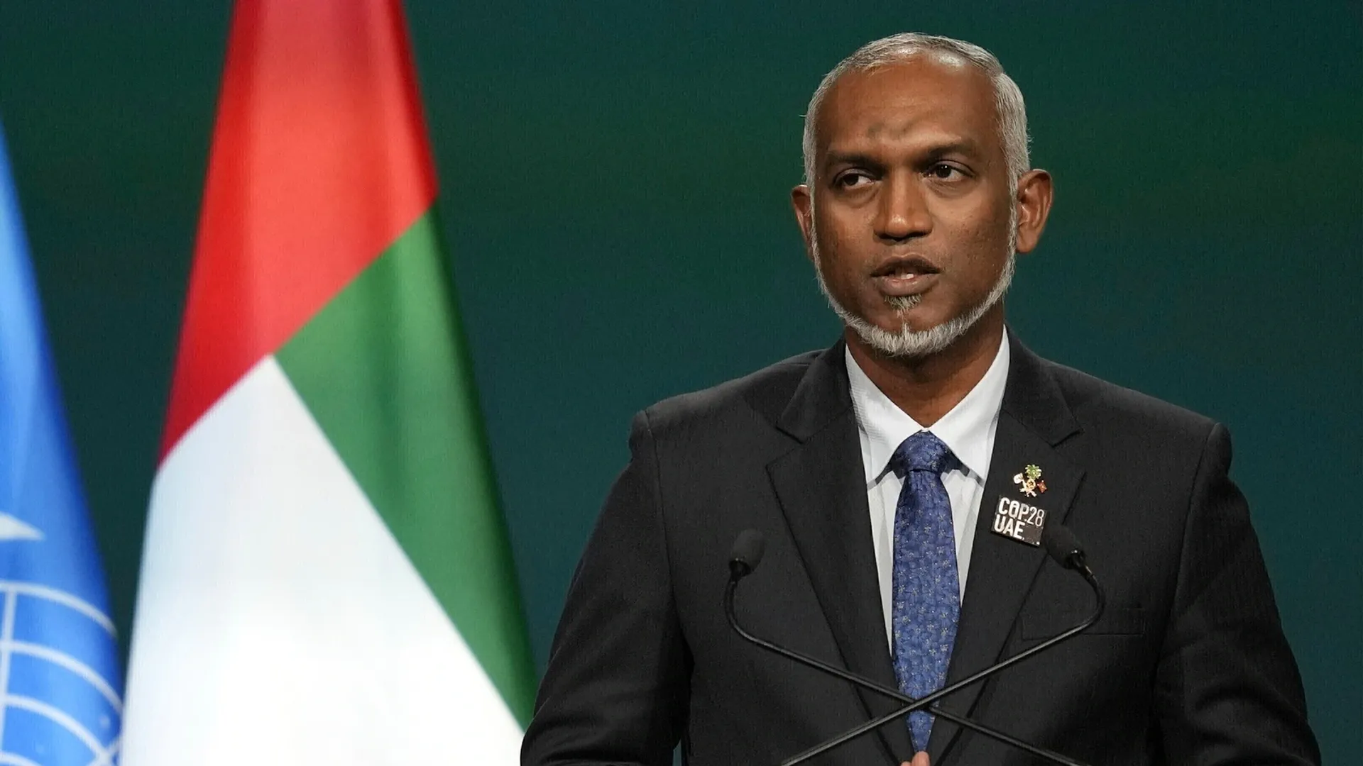solidarity with Palestine