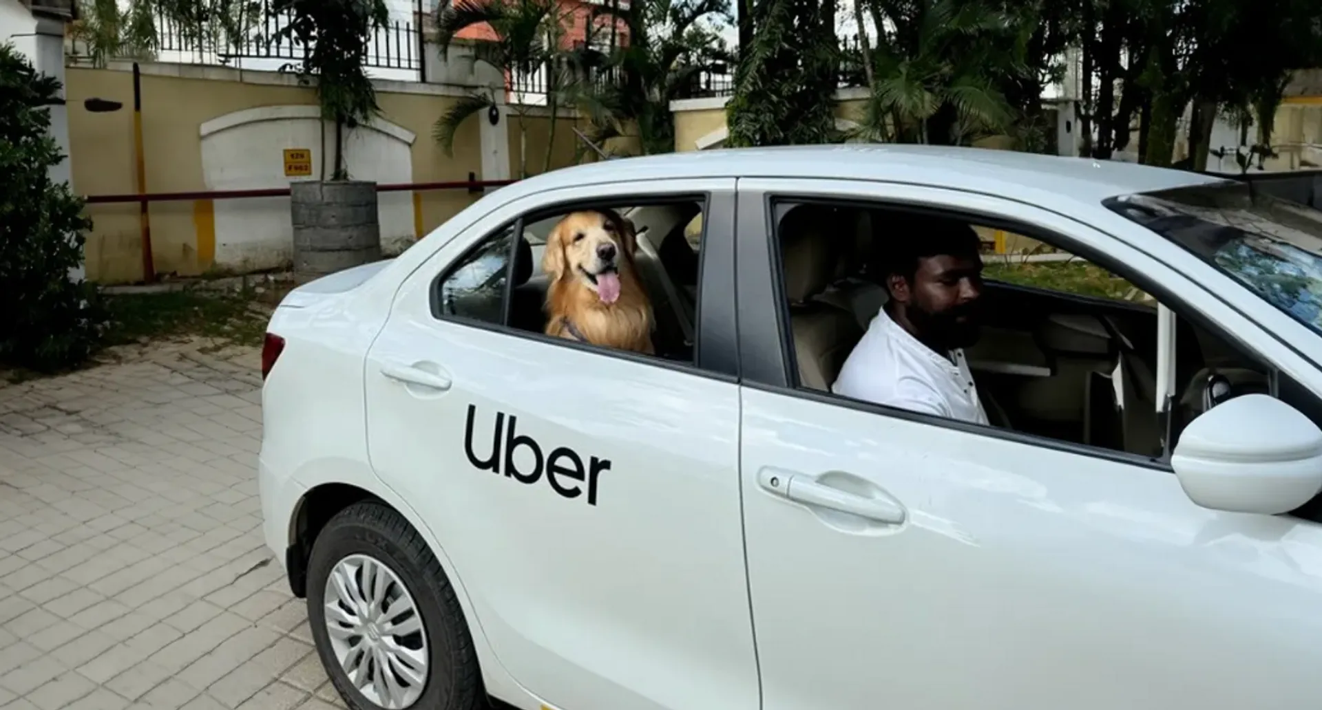 Uber Pet
