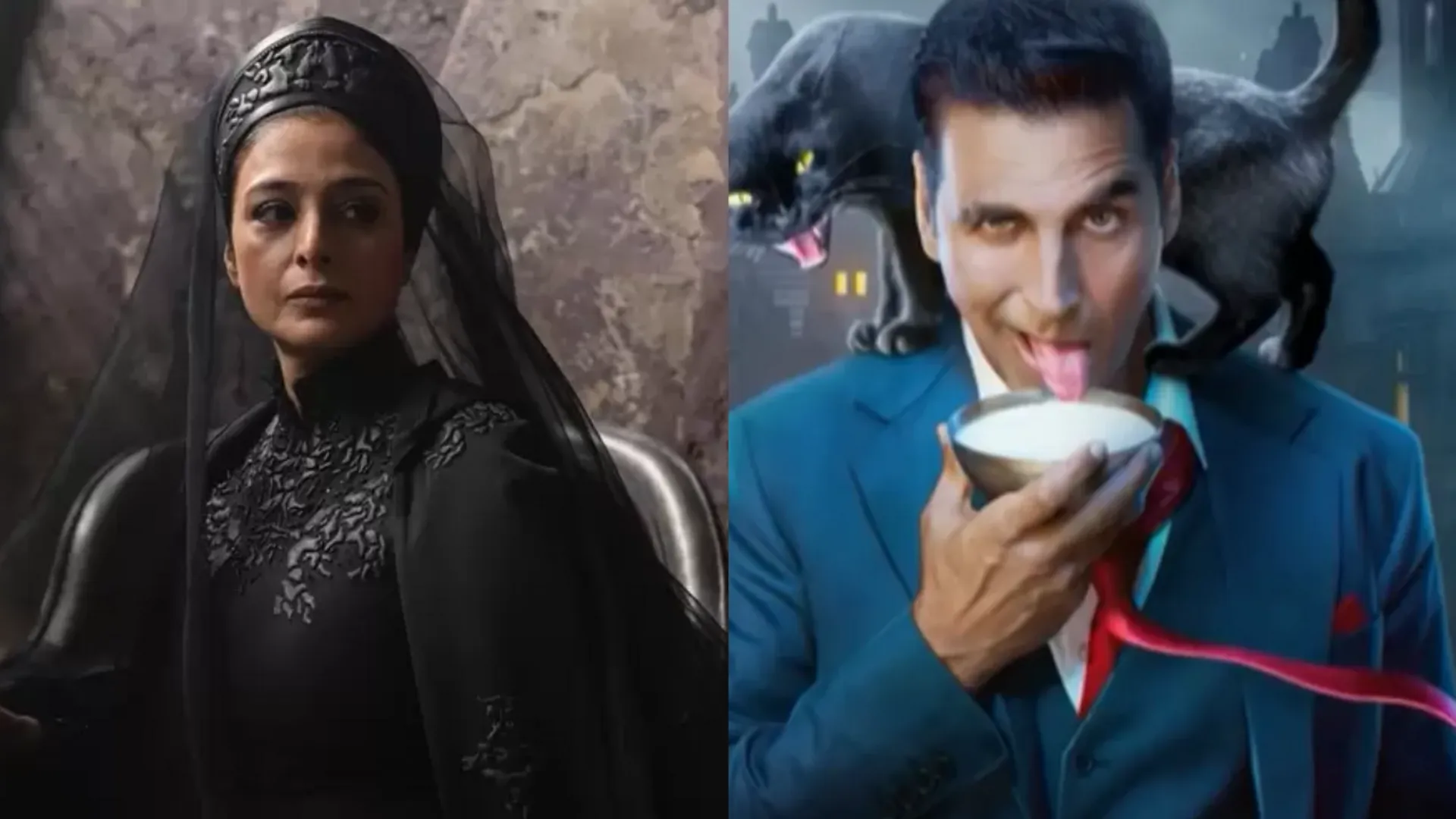 Tabu and Akshay Kumar