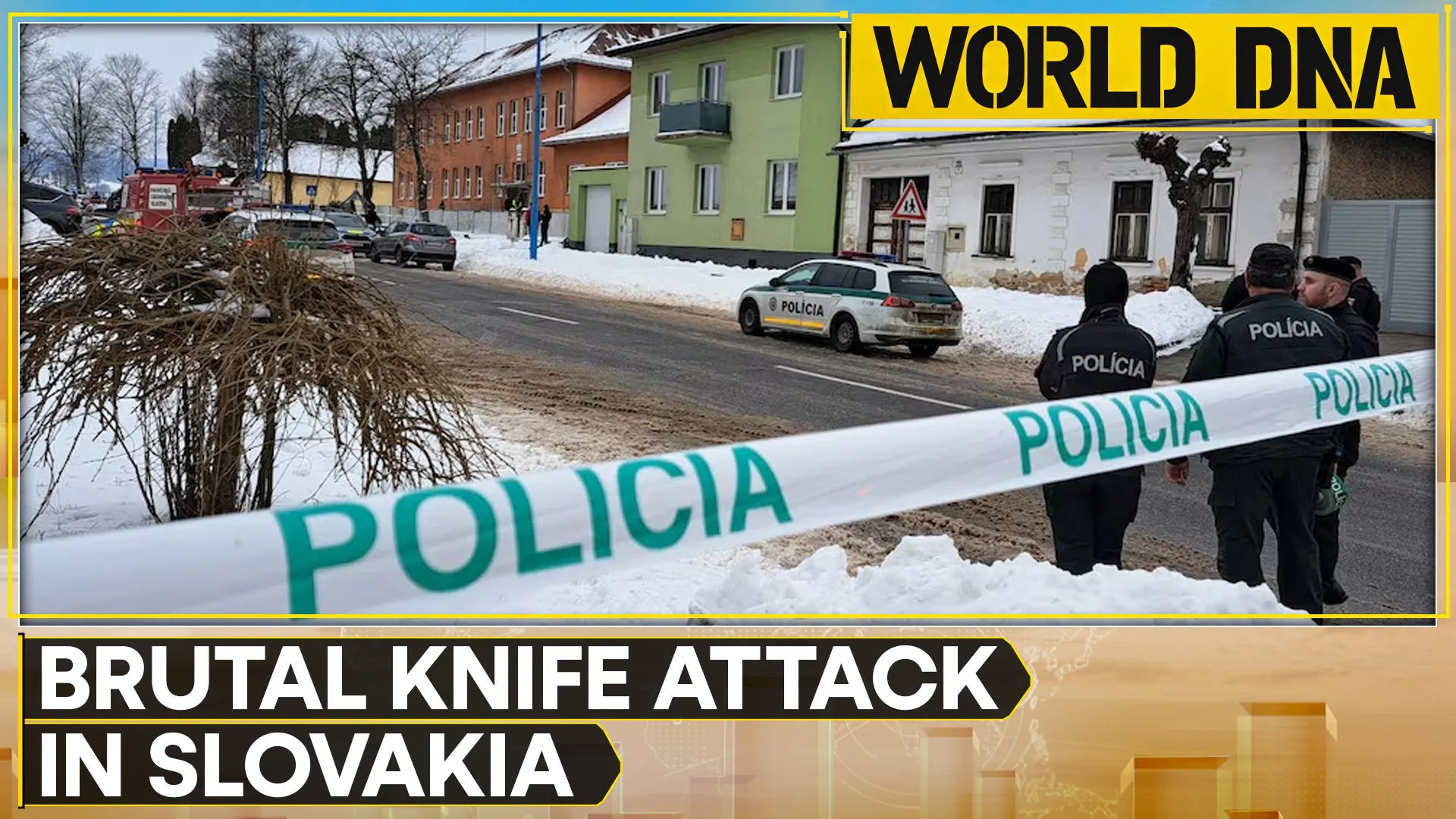 slovakia knife attack