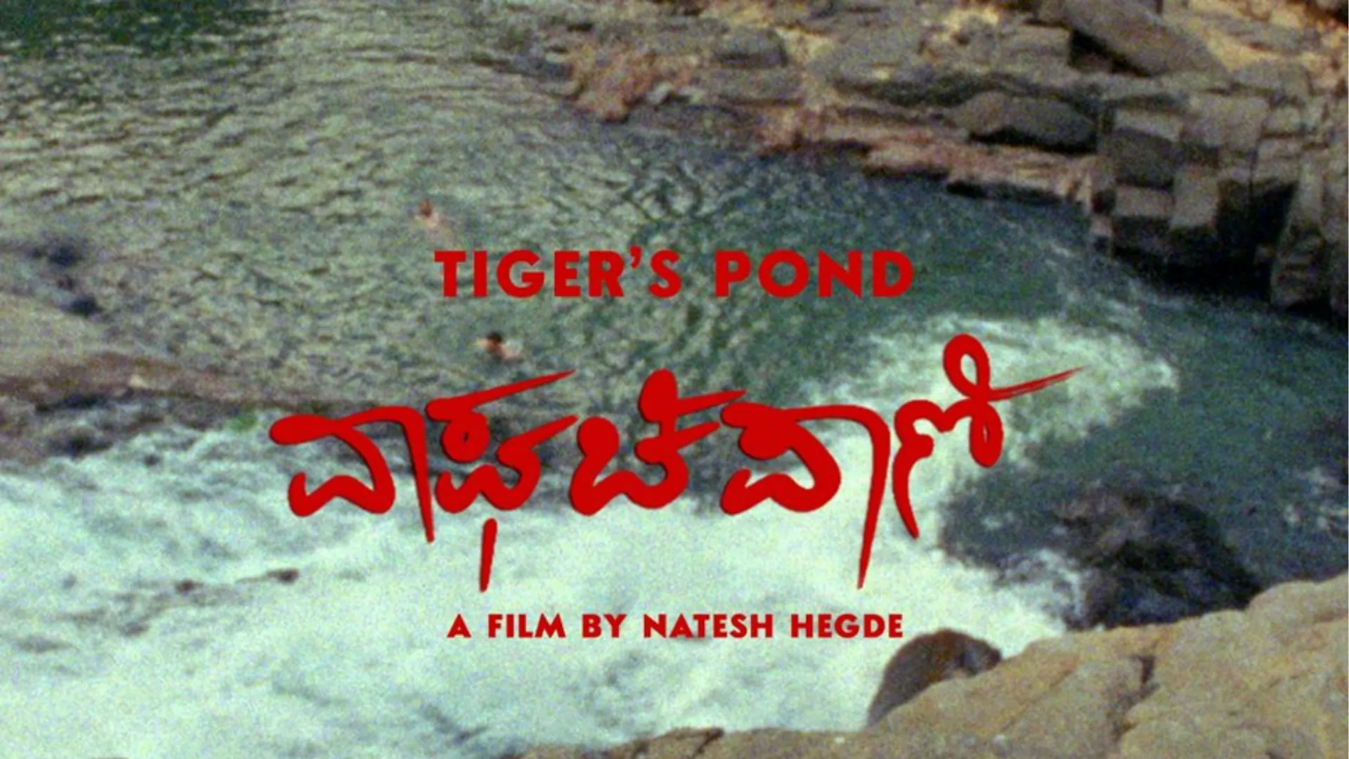 Poster of movie Tiger's Pond