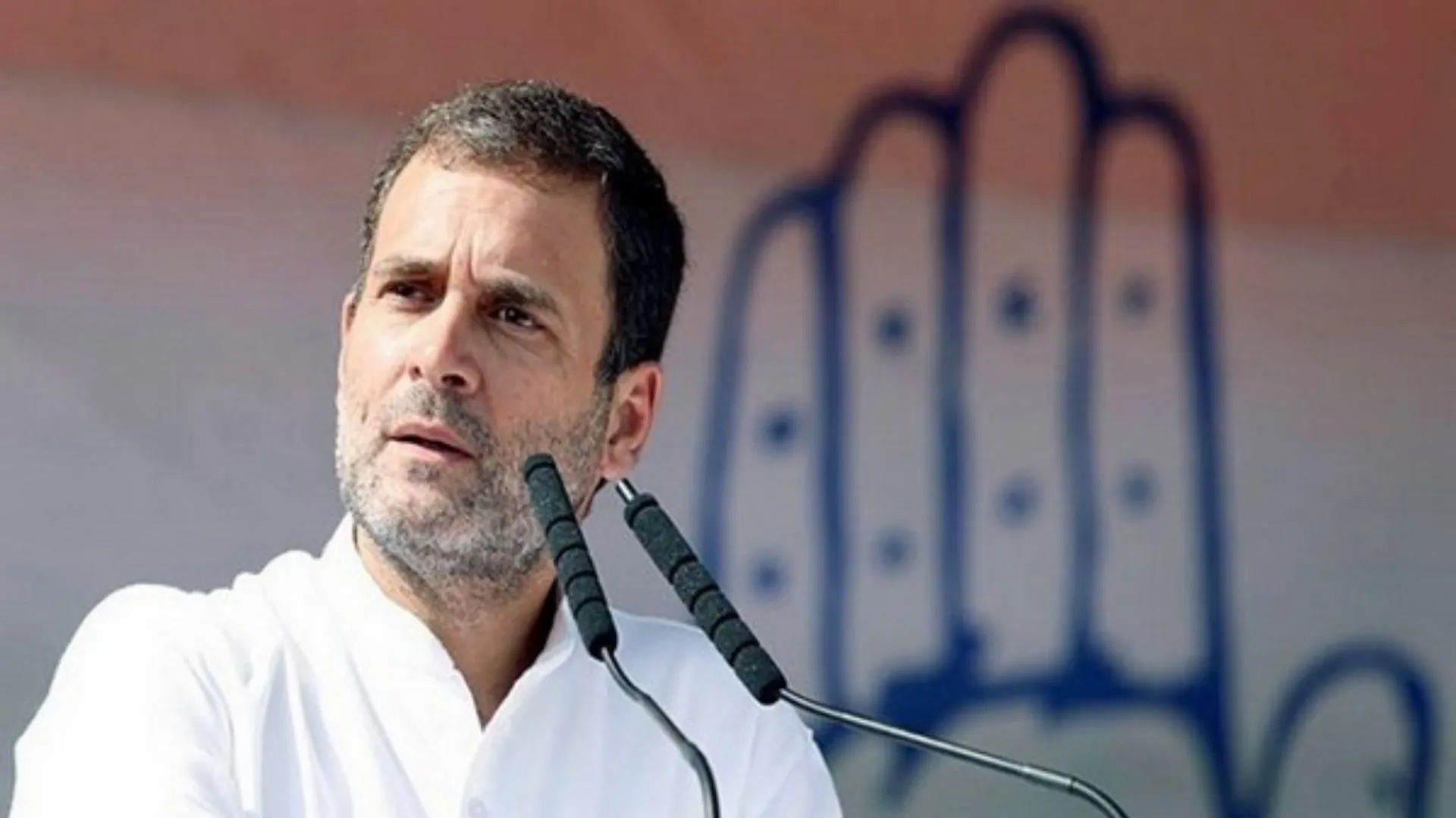 Delhi Polls: Rahul Gandhi raises allegations of 'biggest liquor scam' against Sisodia and Kejriwal