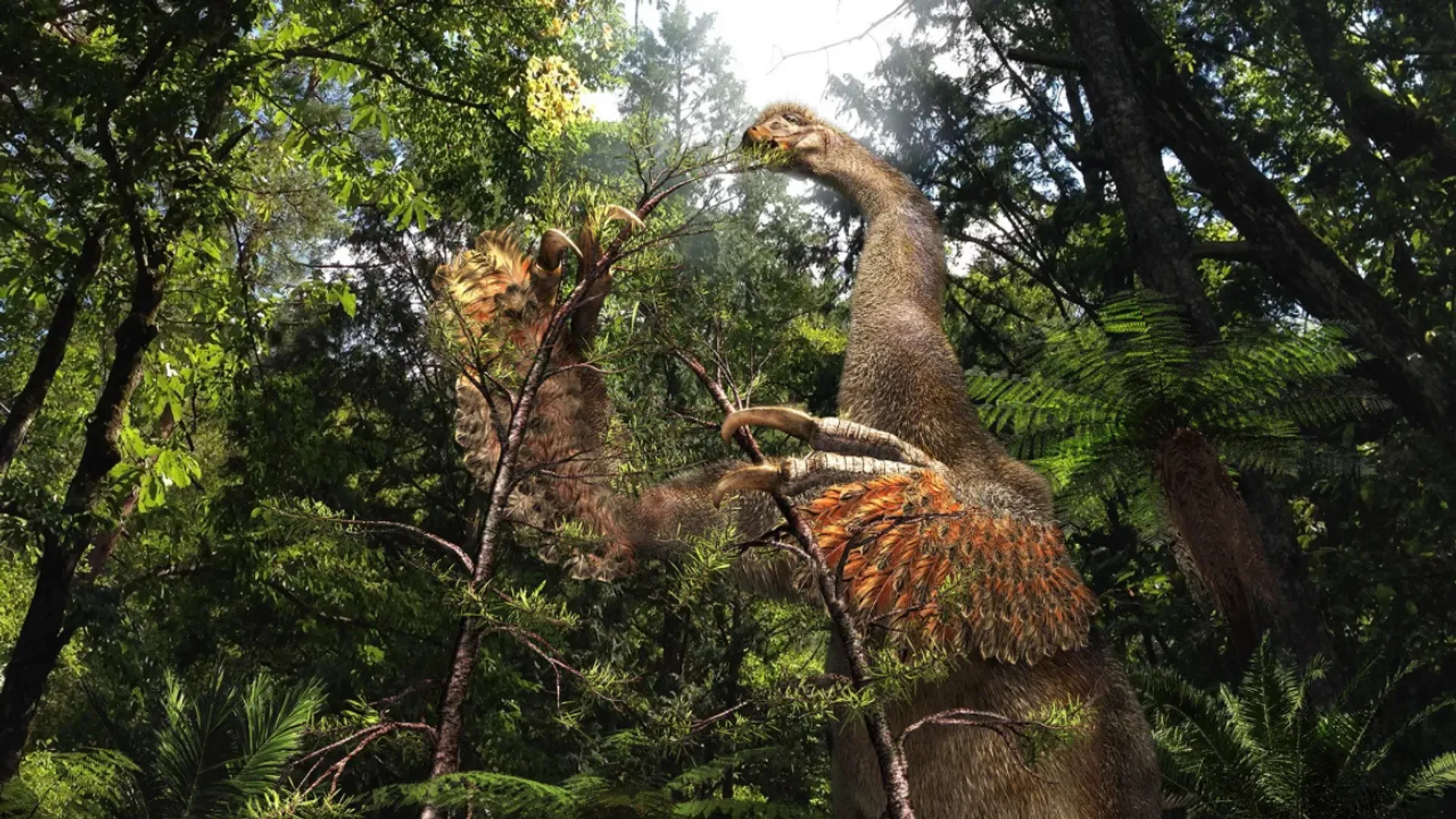 Duonychus tsogtbaatari