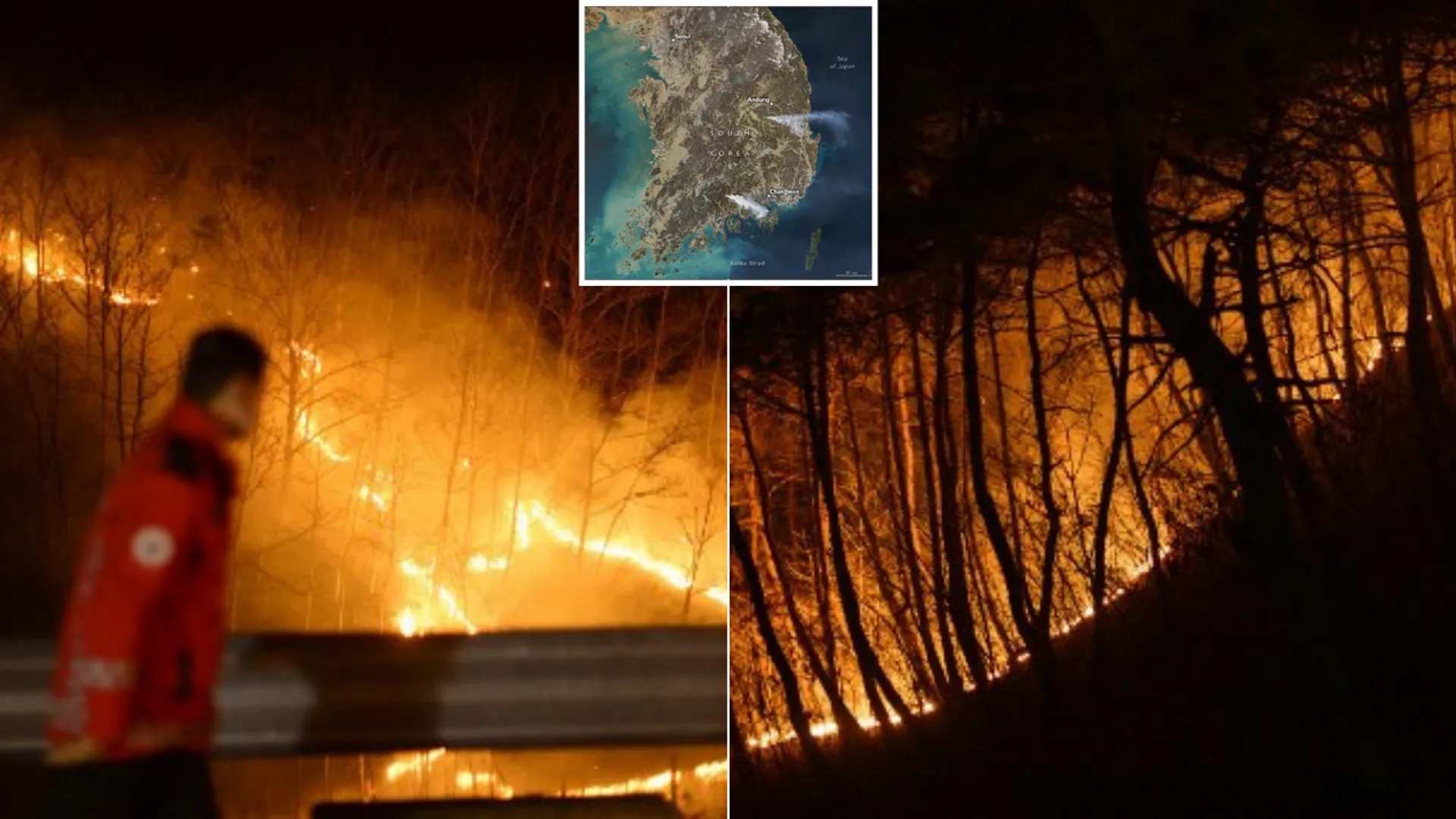 wildfire in Andong 