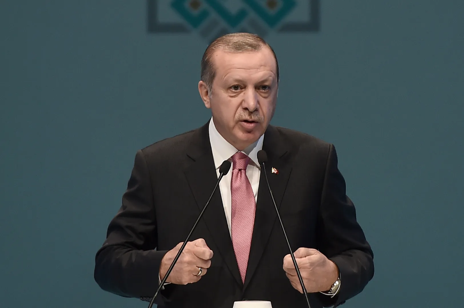 Turkey's Erdogan accuses Germany of 'aiding and harbouring' terror