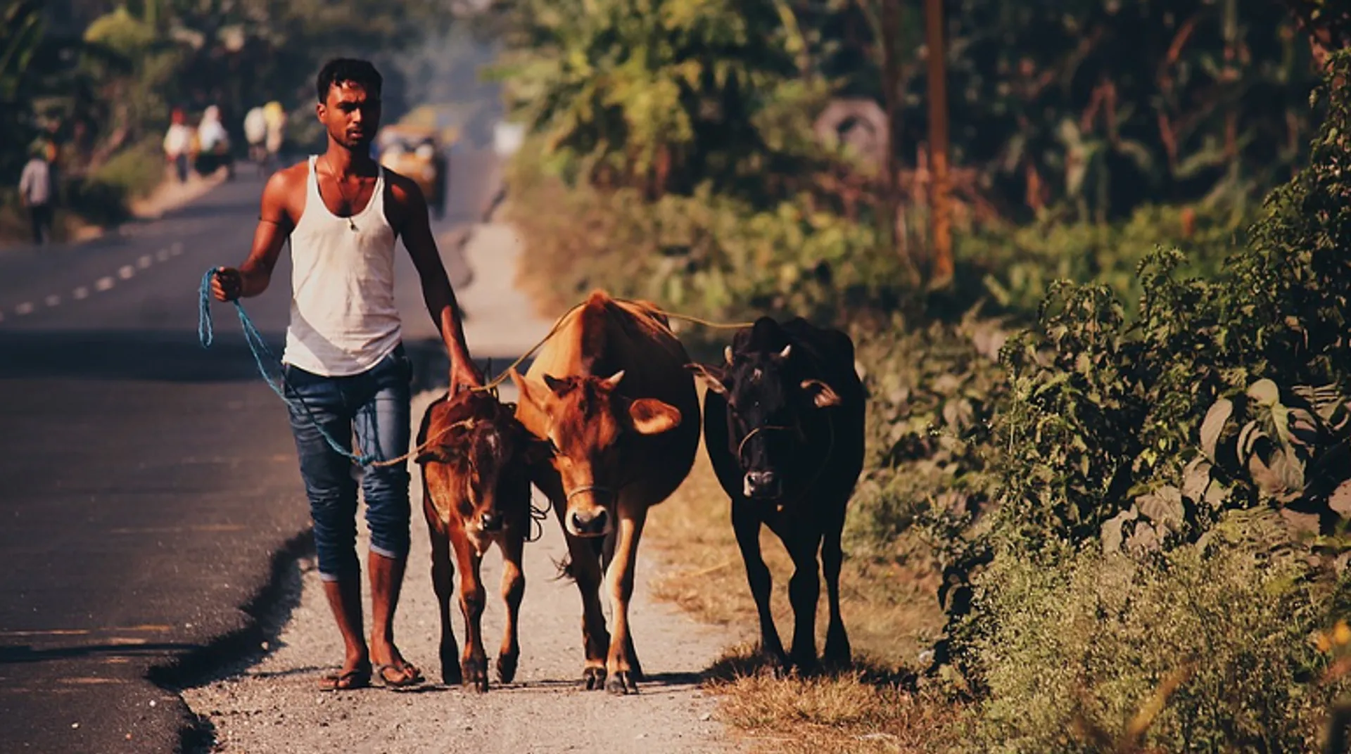 55 year old dies after he is attacked by gau rakshaks in Alwar, Rajasthan