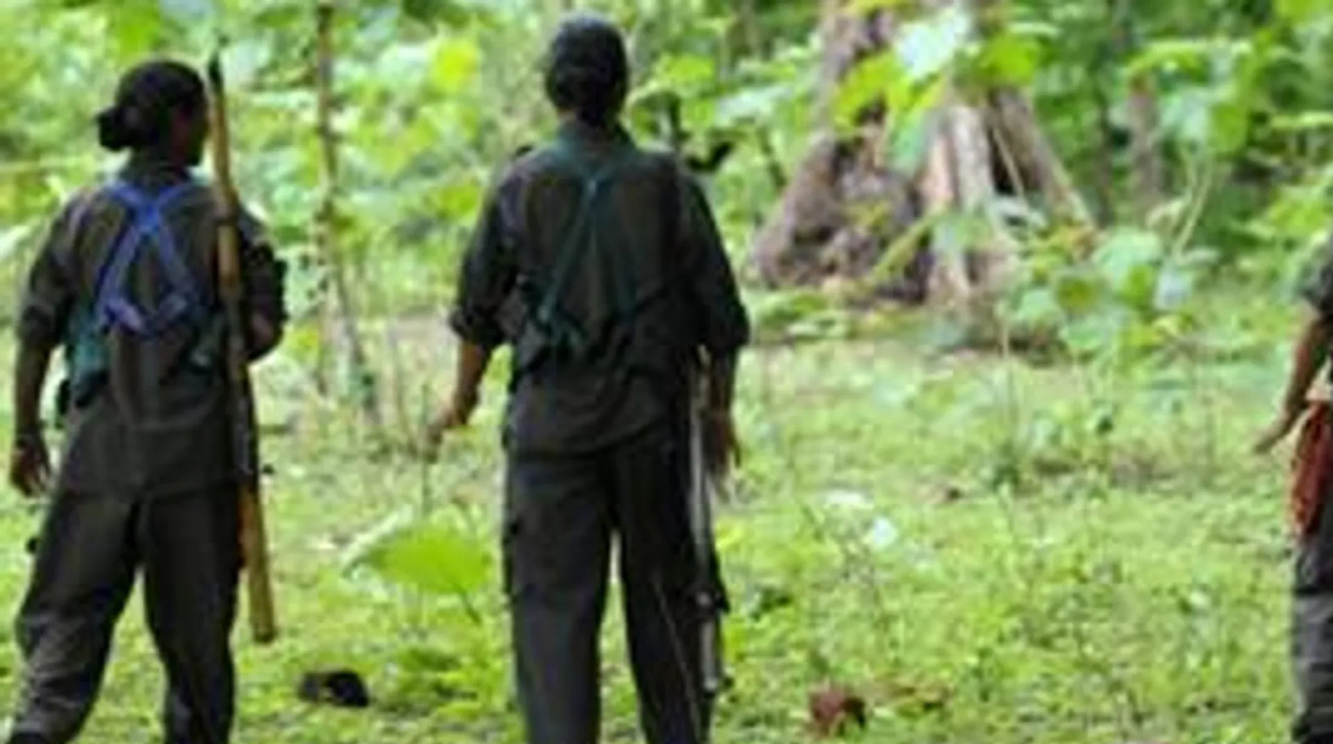 27 Naxalites surrender in Chhattisgarh's Dantewada