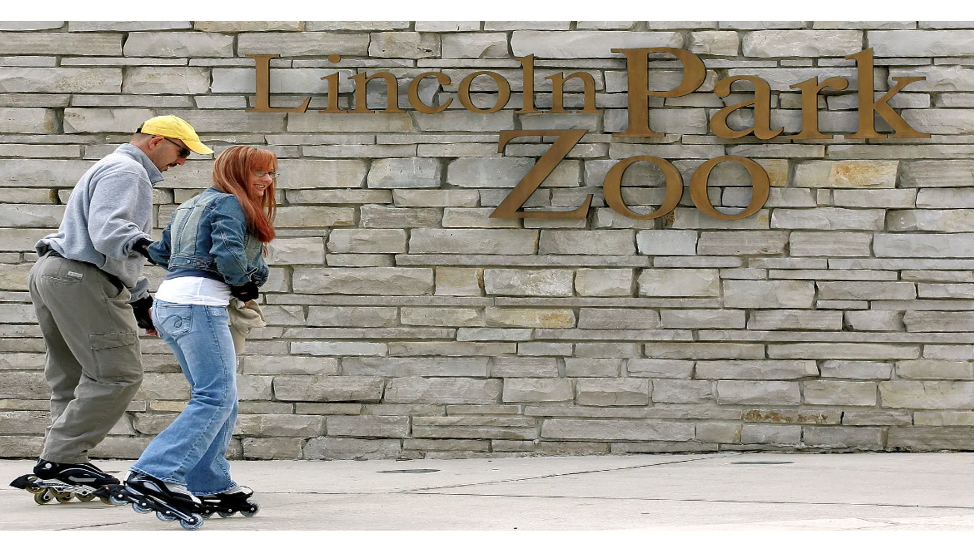 Chicago zoo's baby camel a social media star