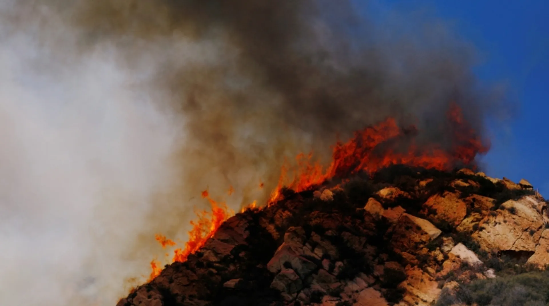 Death toll climbs to 48 in California's wildfire disaster