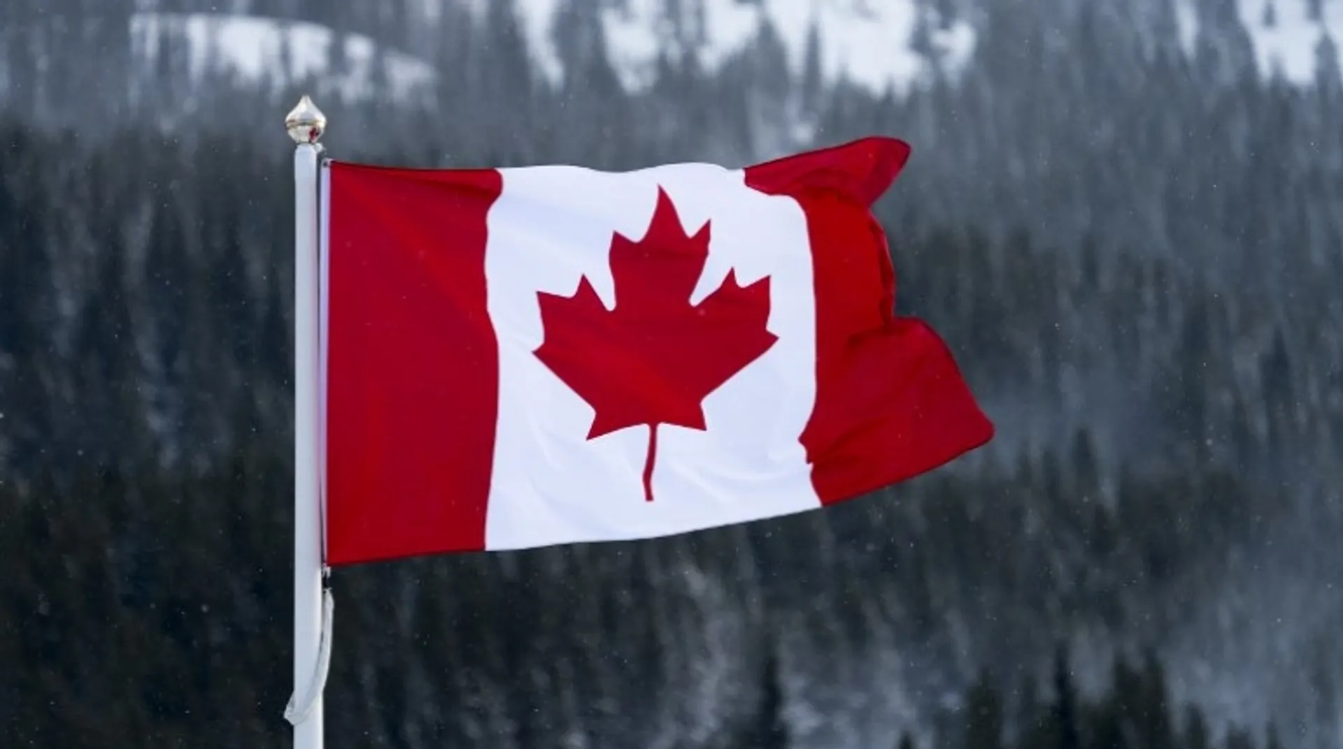 Anti-logging protests become biggest civil disobedience in Canada