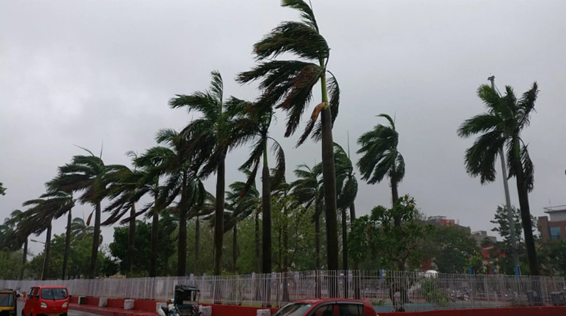 Light rains, gusty winds make Delhi weather pleasant