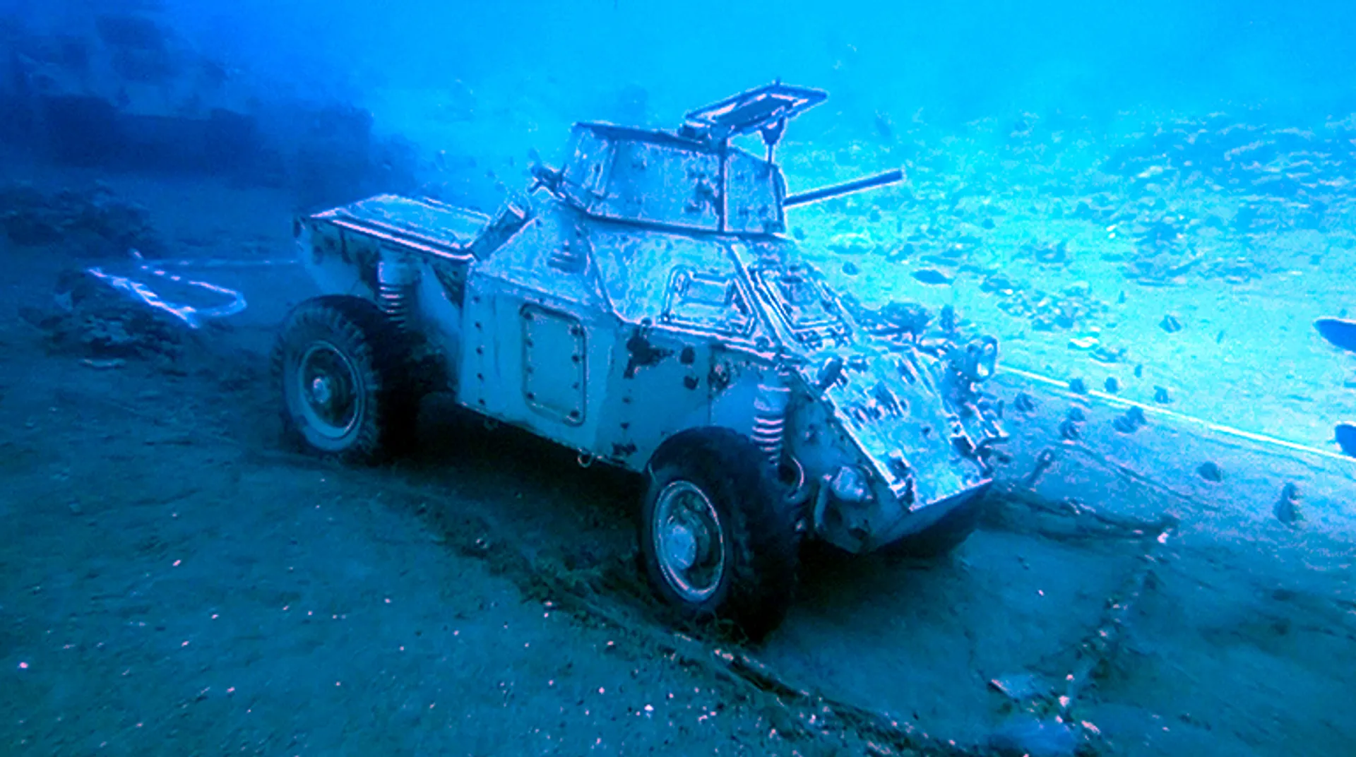 Jordan hopes underwater tanks will draw tourists and fish
