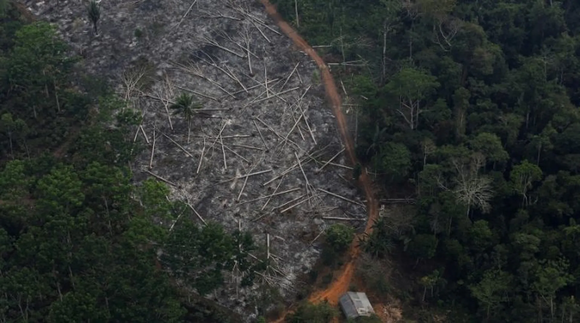 Climate change: Amazon may be turning from friend to foe