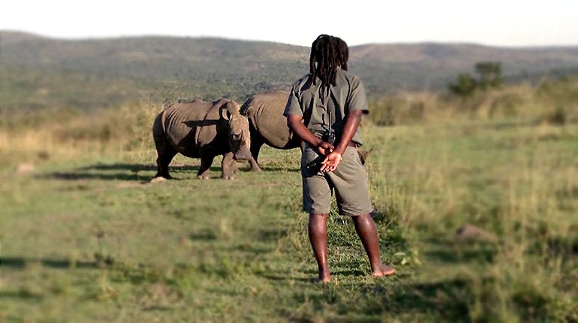 S Africa's barefoot game ranger fights rhino poaching
