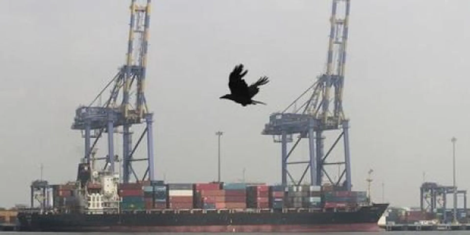 Ports in Gujarat on high alert as intel says Pakistan commandos trained in underwater combats enter Kutch