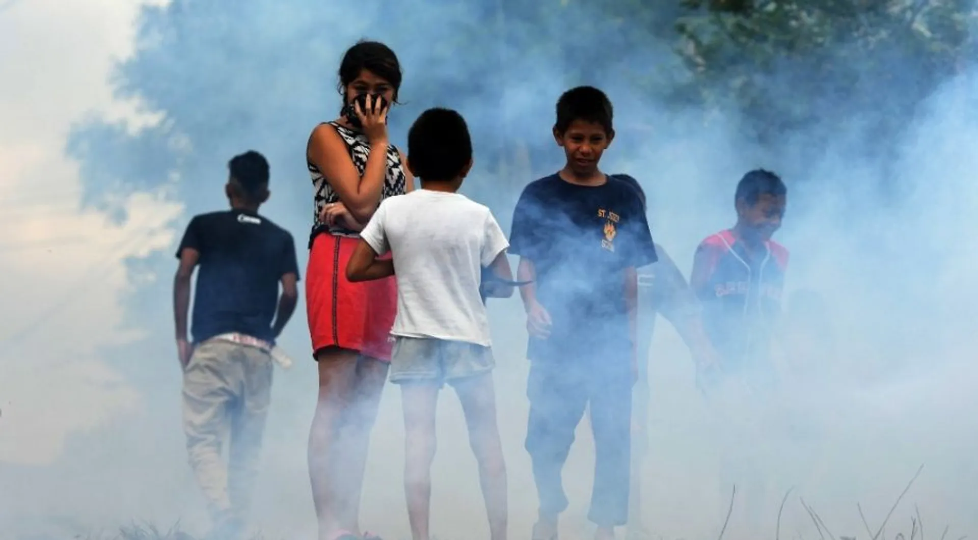 3 dead, 404 dengue and malaria cases detected in Dakshina Kannada