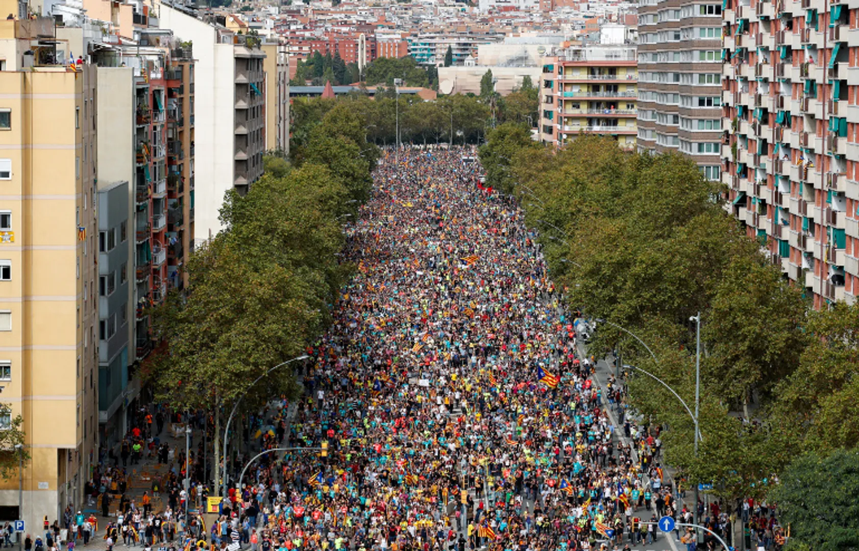 Catalan crisis looms large over Spain's November election