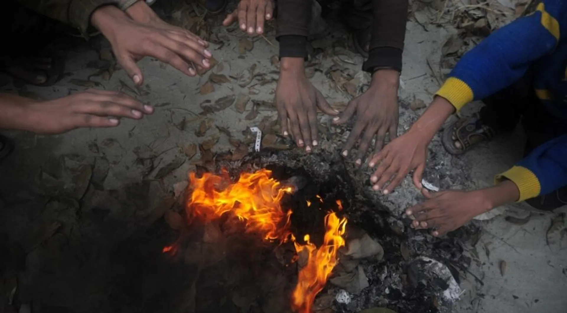Cold northwesterly winds bring temp down in Delhi