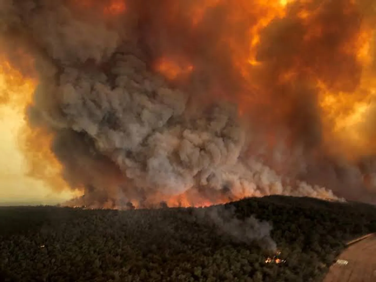 Australia: Fire in NSW leaves more than 2,000 homes damaged