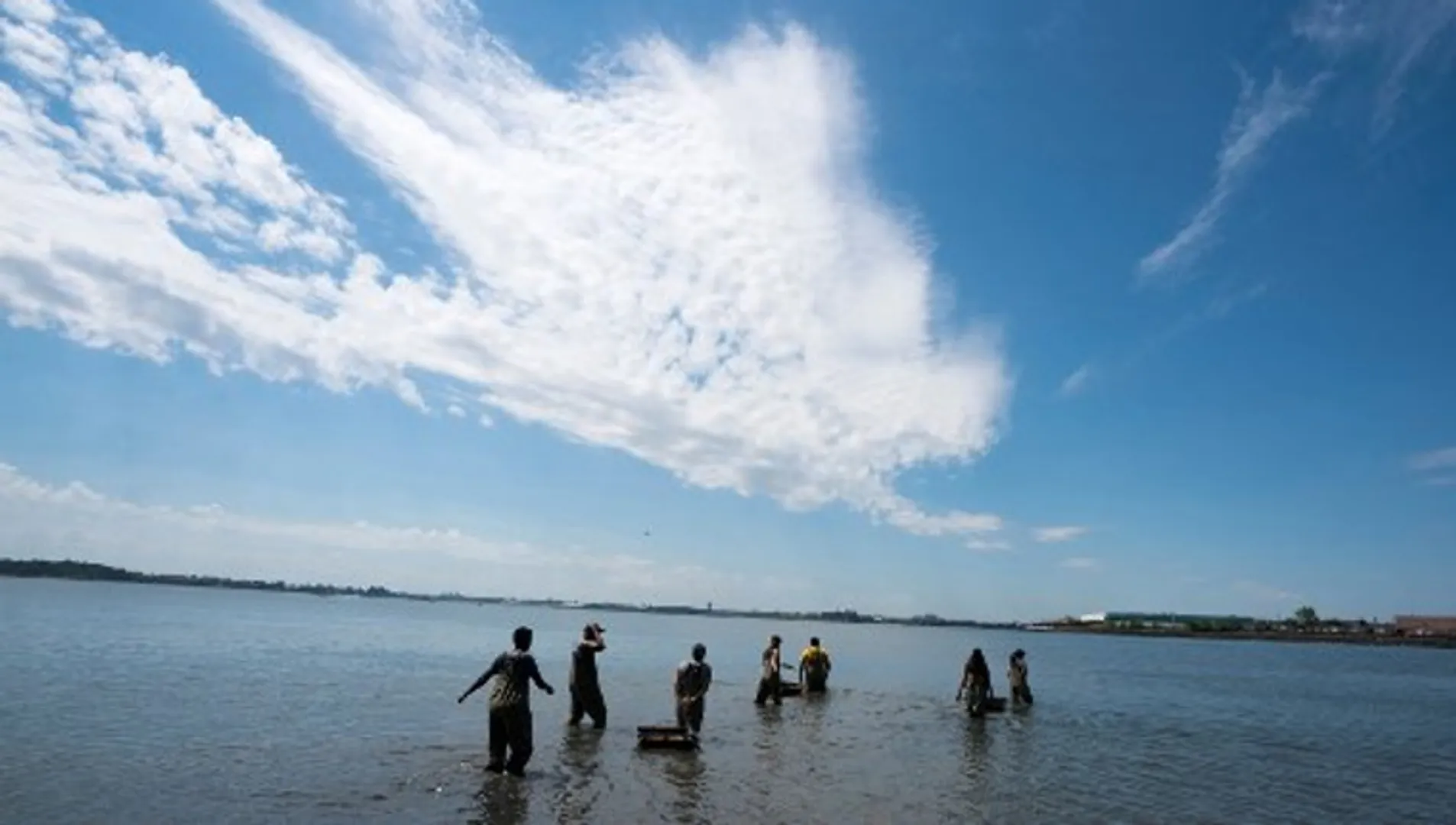 'Disappearing' Vaan Island puts India's biodiversity at risk, hits local tourism