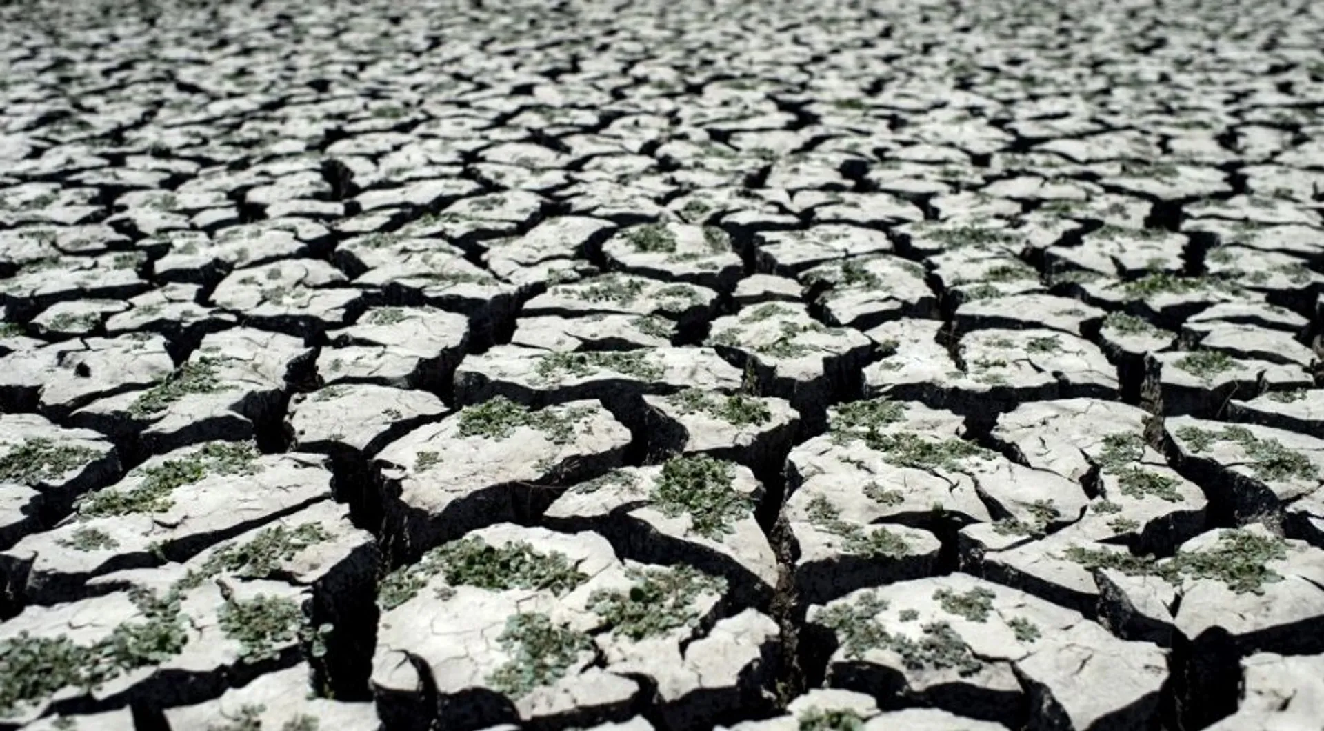Indian farmer files complaint against God of rain for lack of rainfall