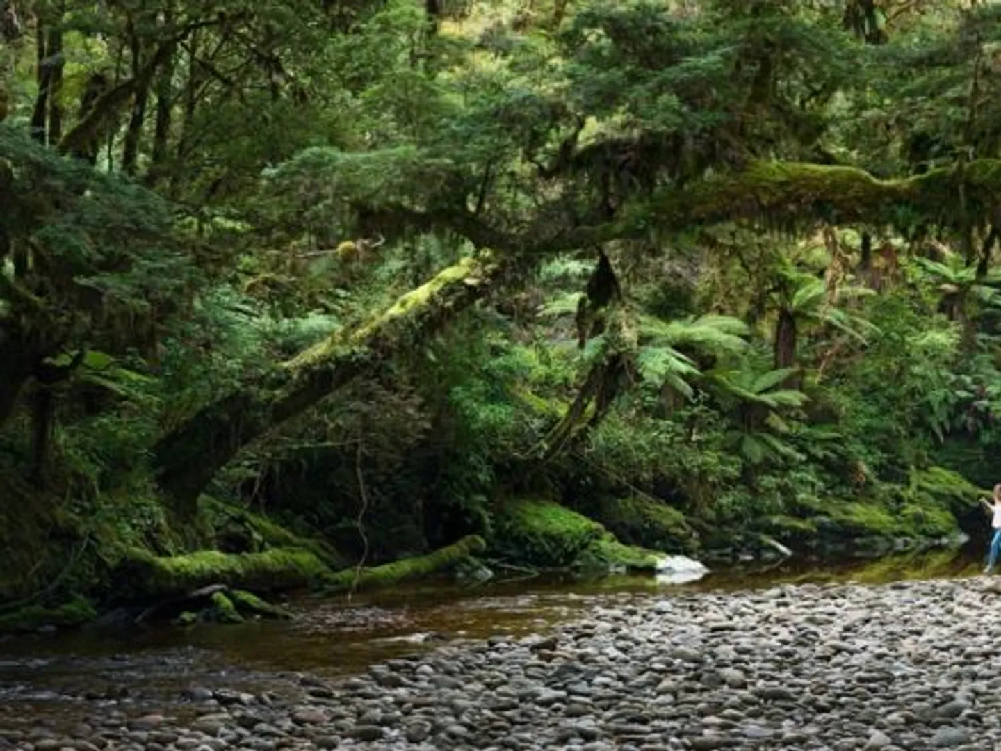 Lost hikers found after over two weeks in New Zealand wilderness