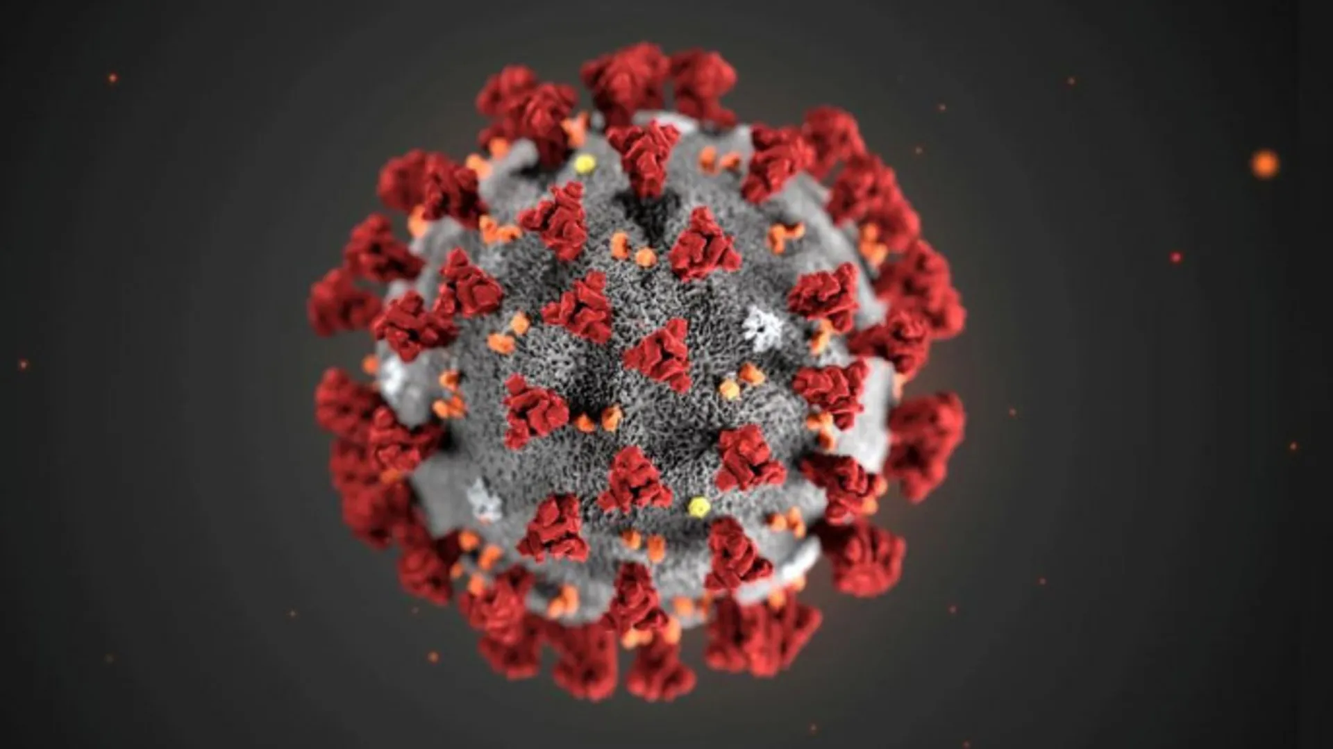 Virus likely jumped to humans from bats through 'missing link', expert report says