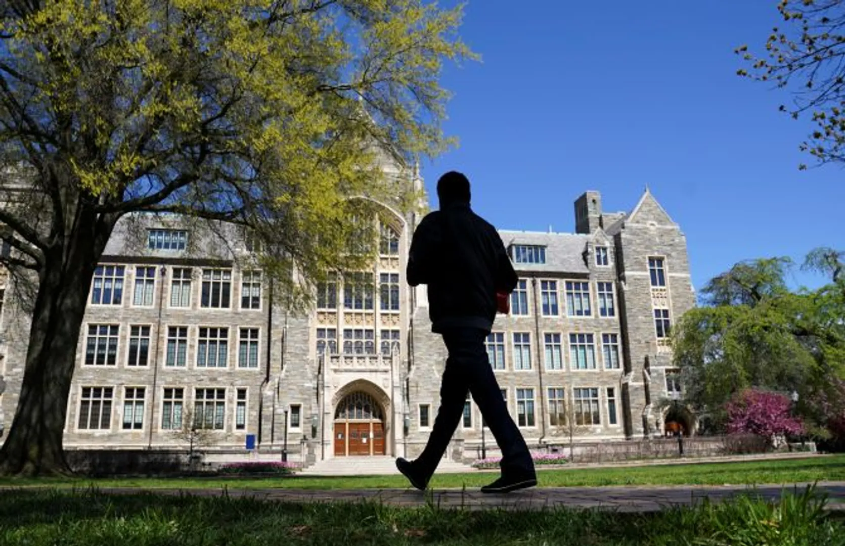 Indian students contributed over $7 billion to US economy in 2019-20