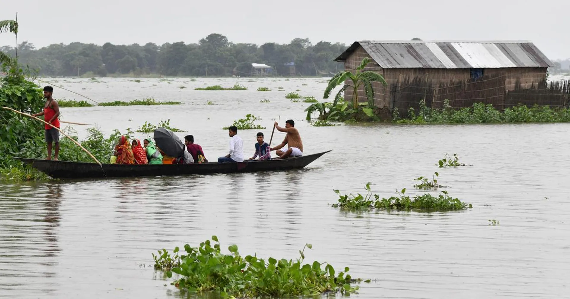 Heavy rains causing flooding in Assam: Kaziranga park submerged in water