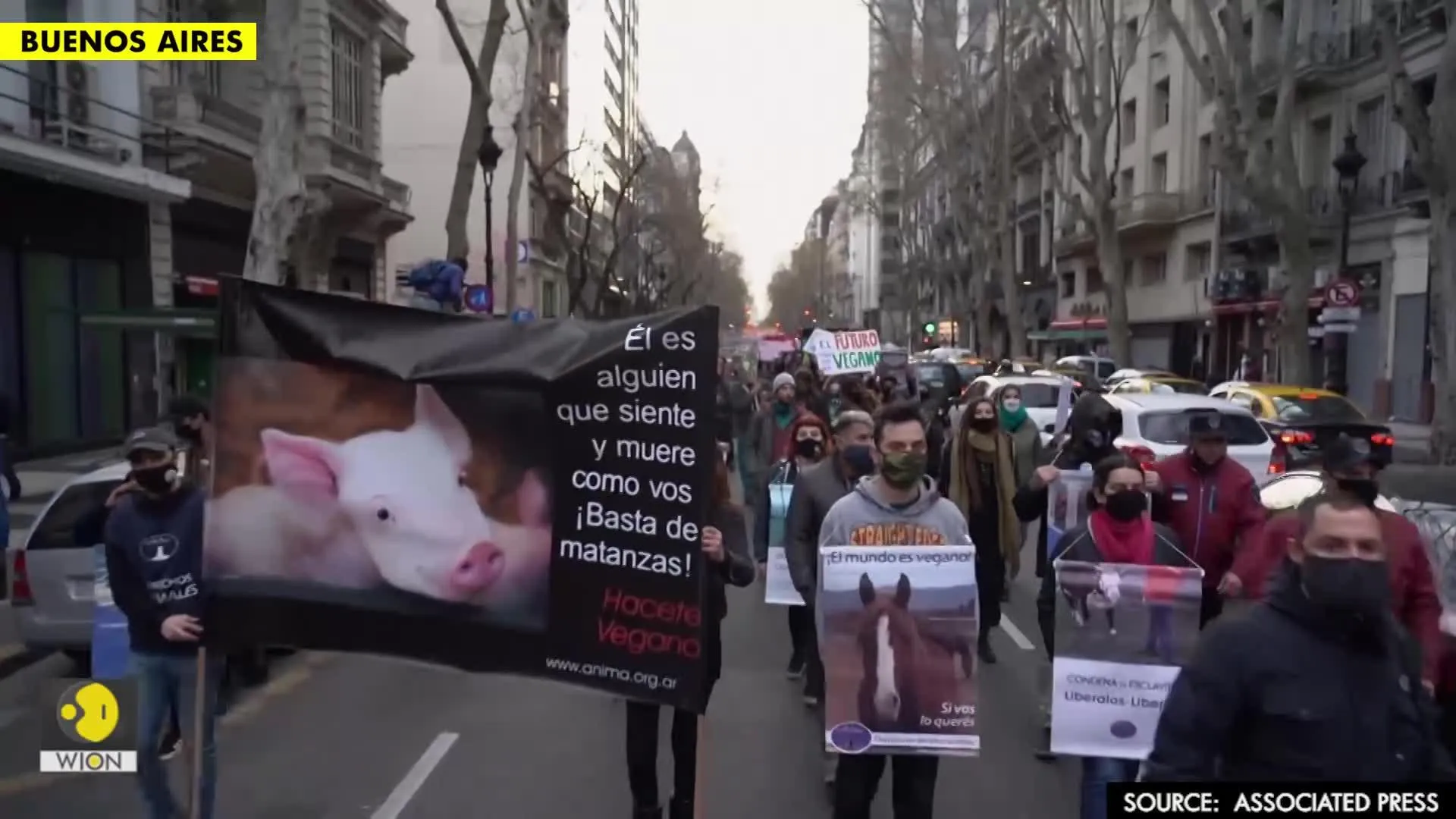 Argentines march against China's pork farms