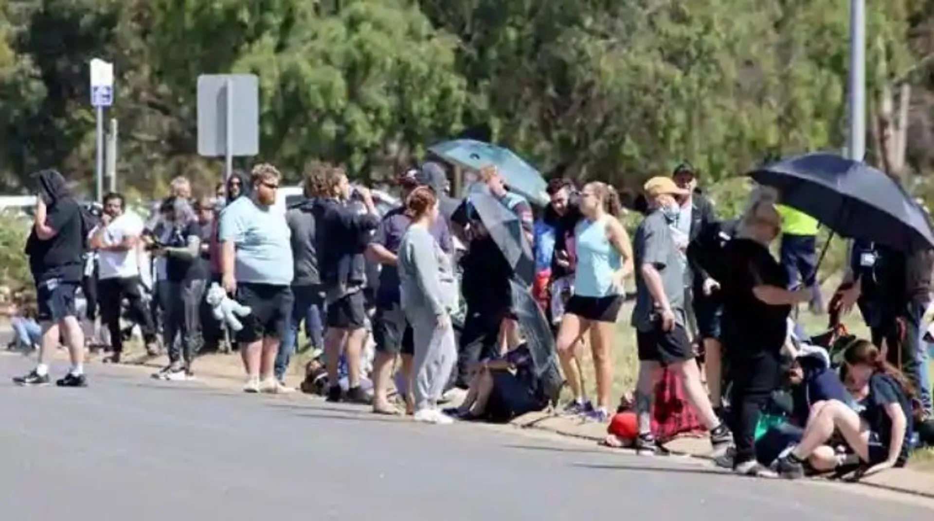 Not even dog walks allowed: This country has imposed world's toughest lockdown