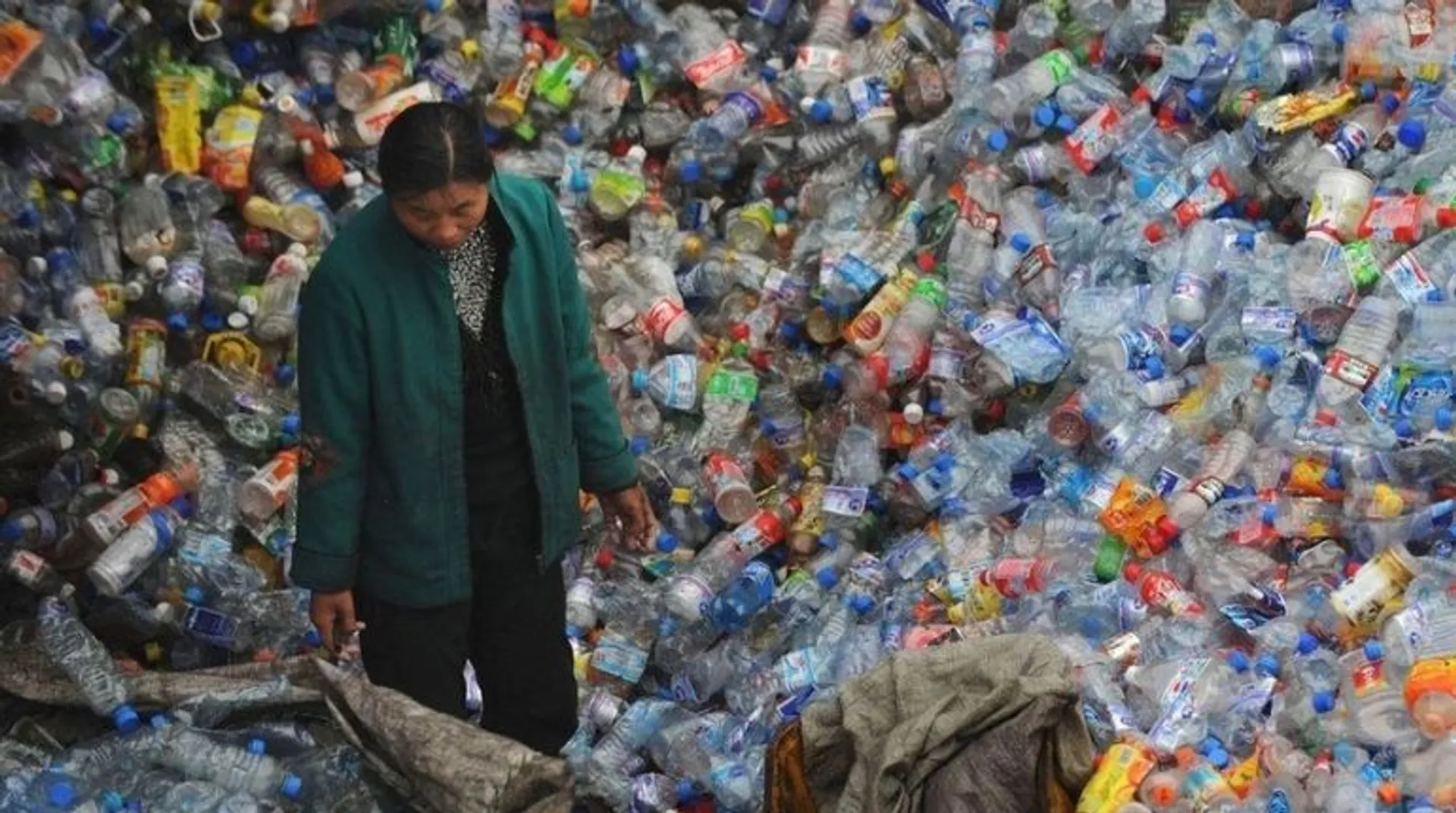 China's biodegradable plastics 'failing to tackle pollution crisis'