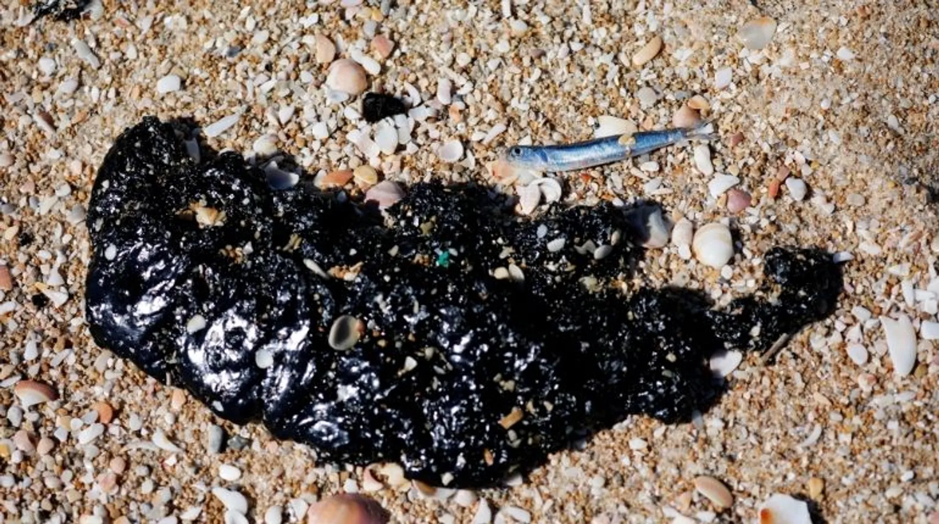 Israel's Mediterranean shoreline drenched with tar after offshore oil spill