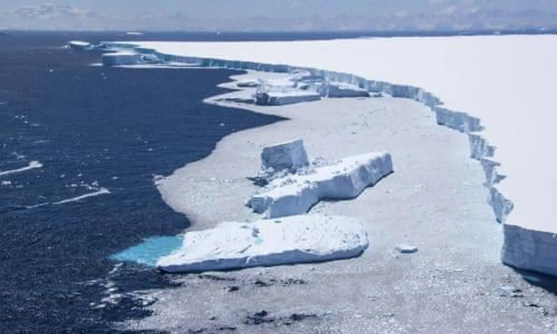 Melting Arctic is a bonanza for the oceanâs natural born killers