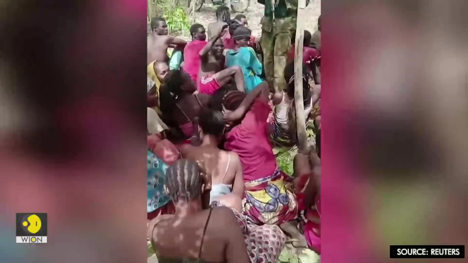 Watch: Nigerian students kidnapped by gunmen beg for their lives
