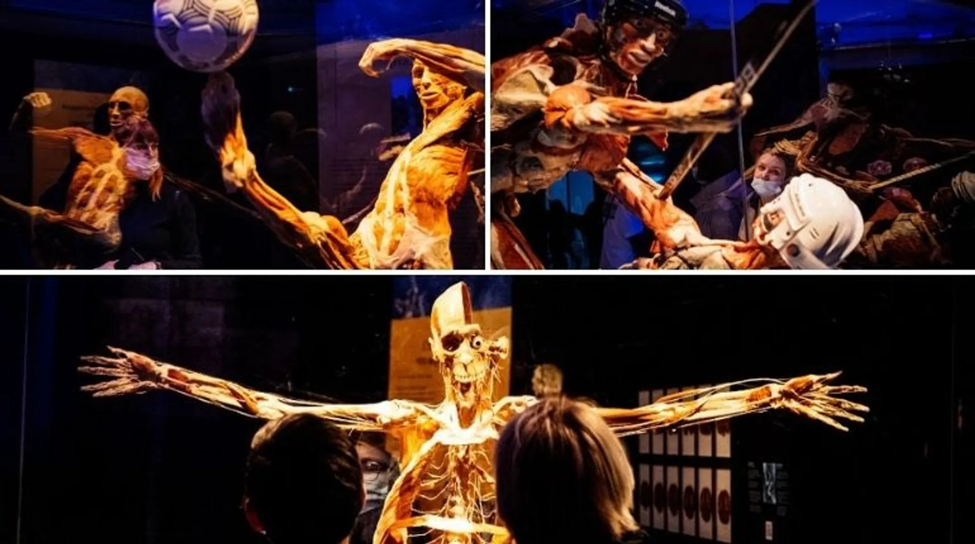 Back from the dead: German anatomist organises exhibition of corpses; attracts criticism