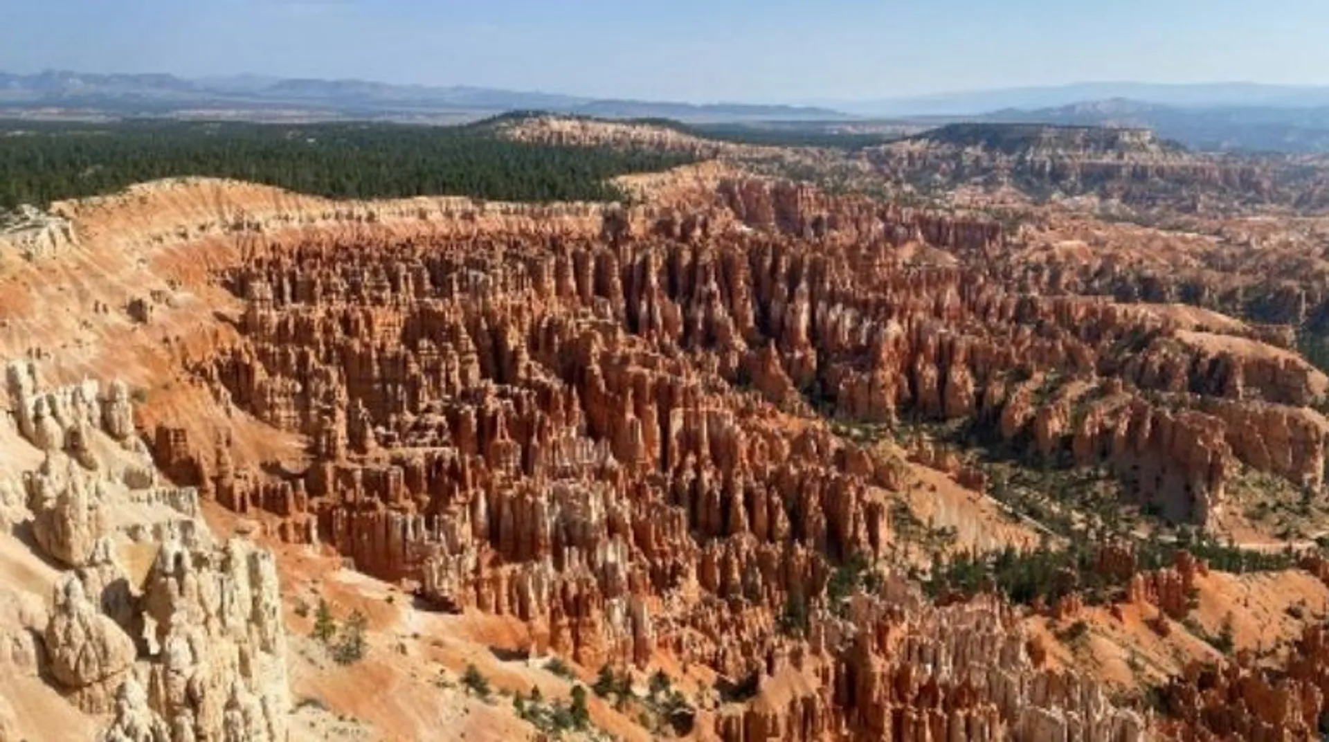 Utah woman, who was missing for five months, found alive after surviving on grass, moss