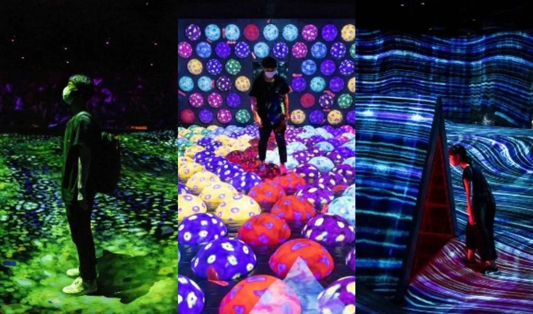 A forest where God lives: Japan forest lights up in digital art show