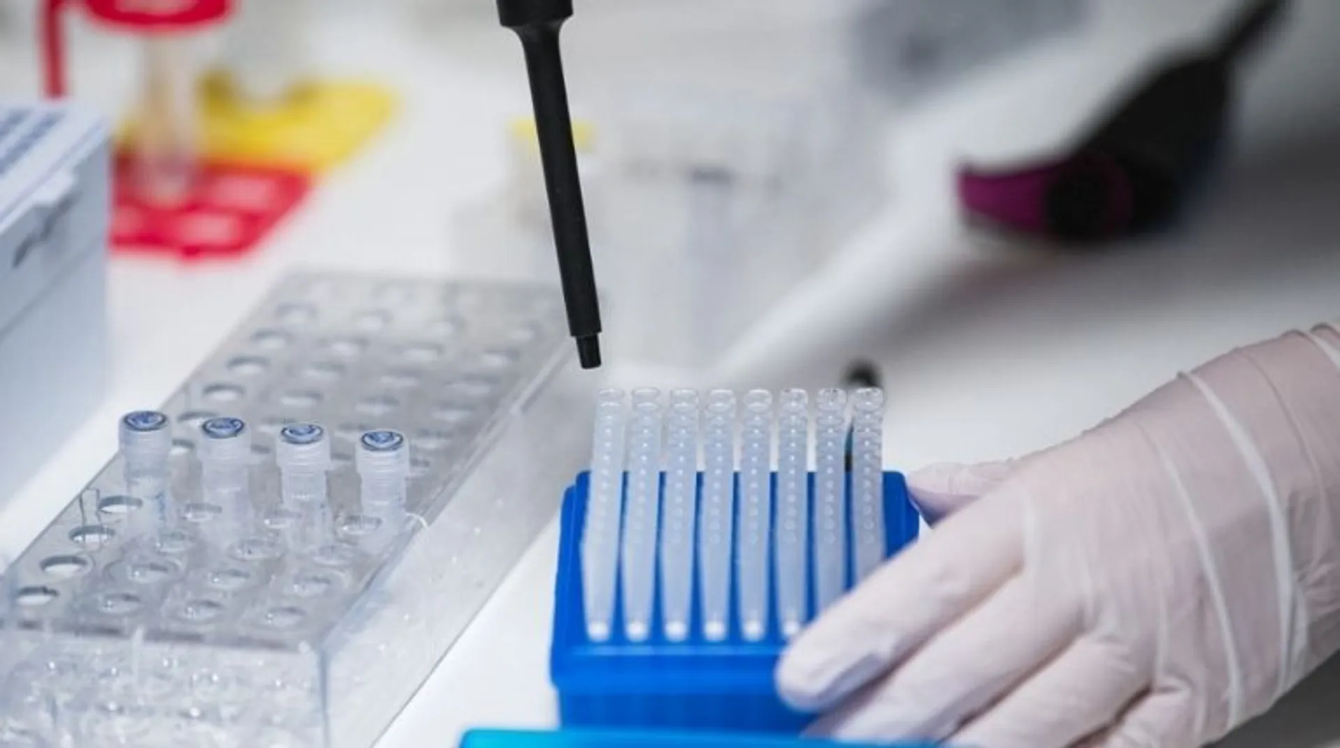 Monoclonal antibody treatment combo cuts hospitalisation among high-risk COVID patients: Study