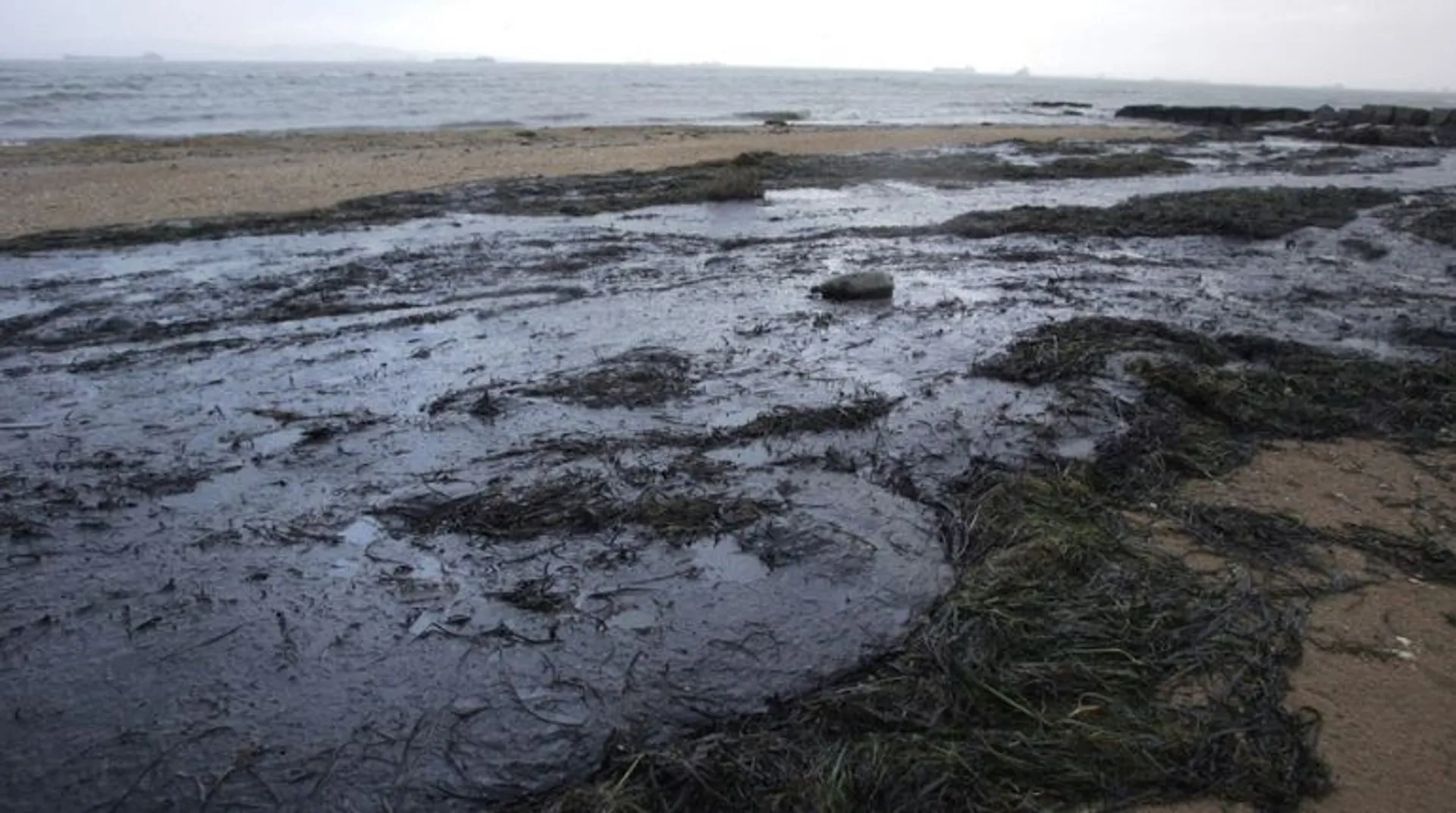 Russian scientists sound alarm over 'colossal' Black Sea oil slick