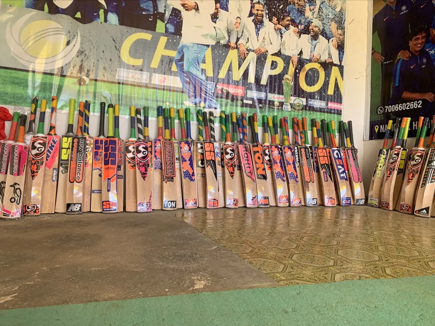 Kashmir willow bats to get GI tagging, study reveals this will serve as a great marketing strategy
