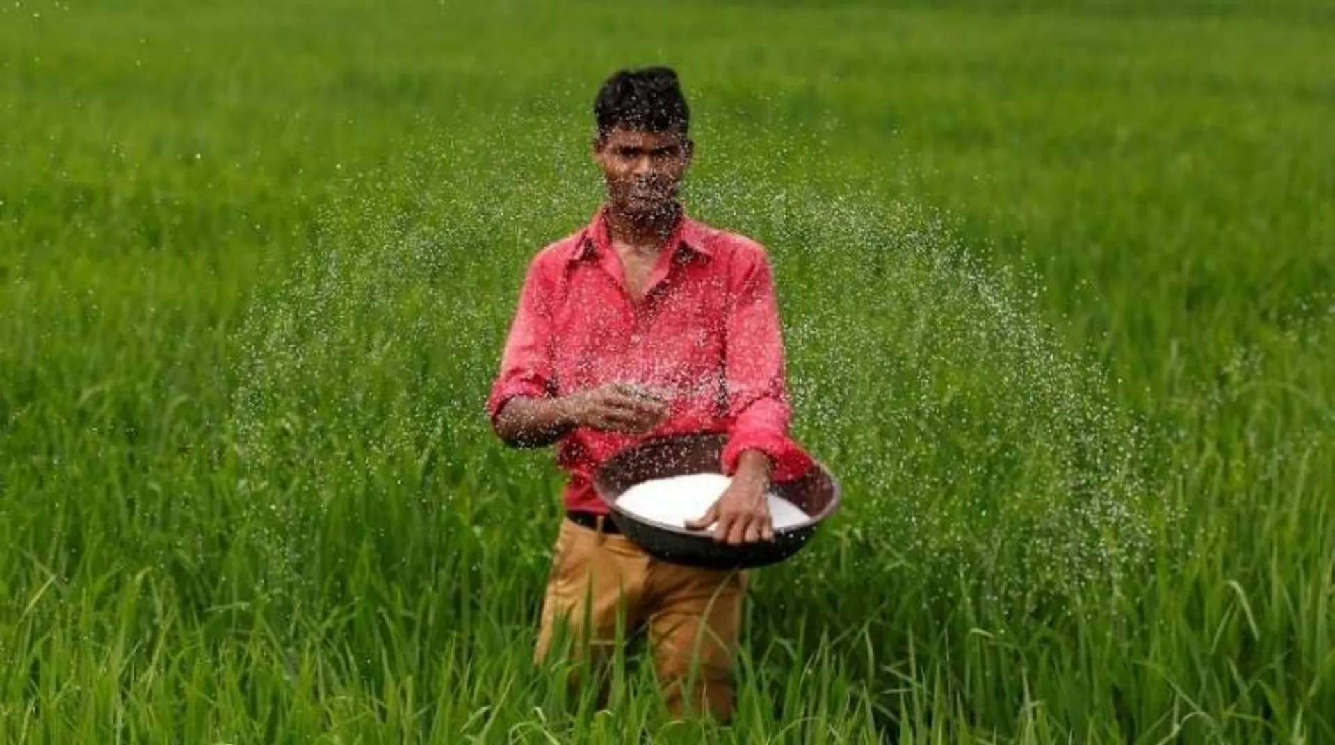Chinese Embassy defends firm after Lanka junks organic fertiliser over harmful bacteria concerns