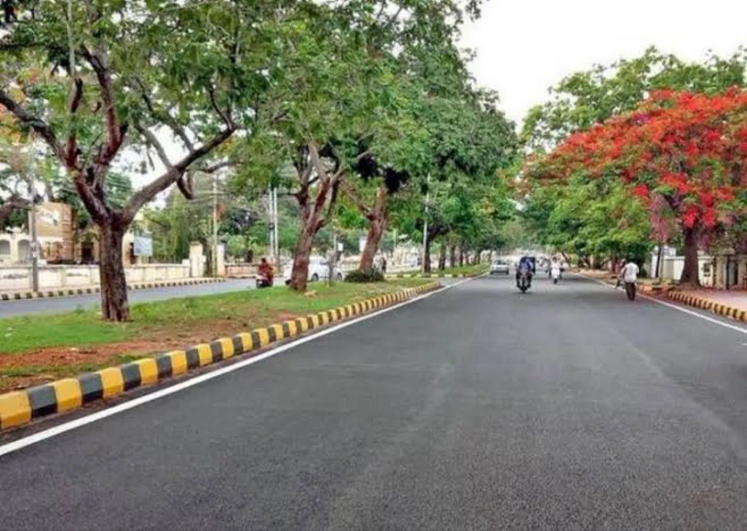 In Pics | India's cleanest city for 2021 has been declared; here are few more awards