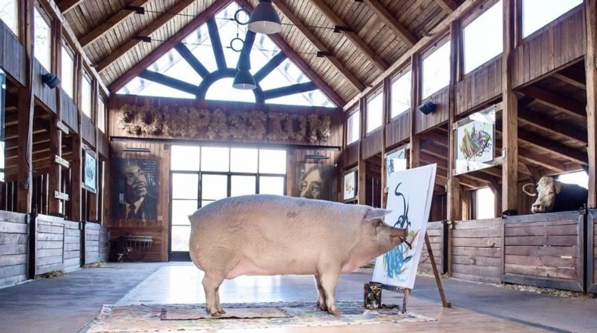Pig painter Pigcassoâs artwork sells for whopping Â£20,000, creates history