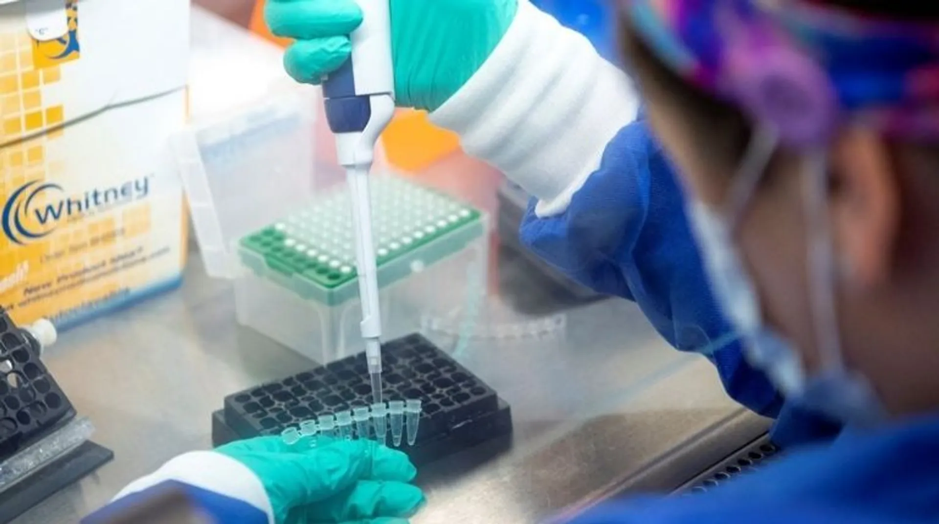 Omicron is not the last Covid variant, scientists warn