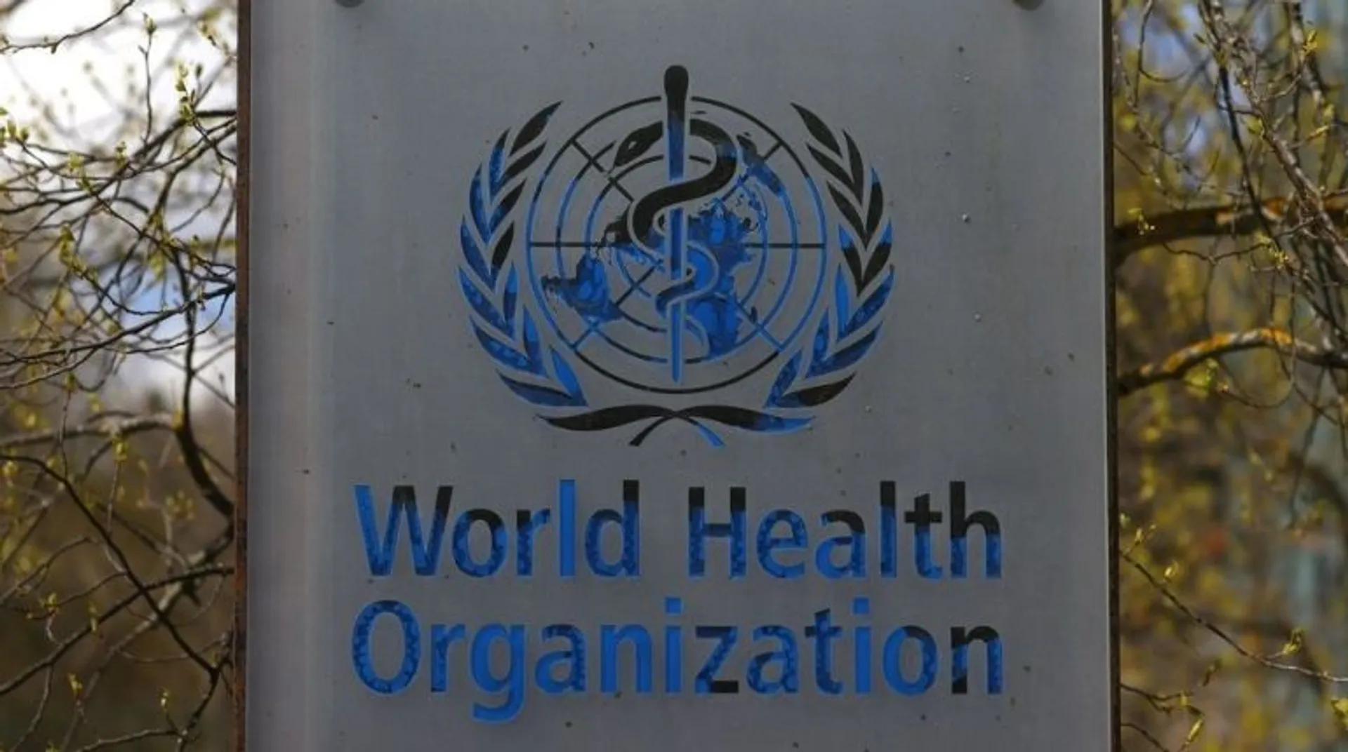 WHO shortens quarantine time for Covid-exposed after negative test