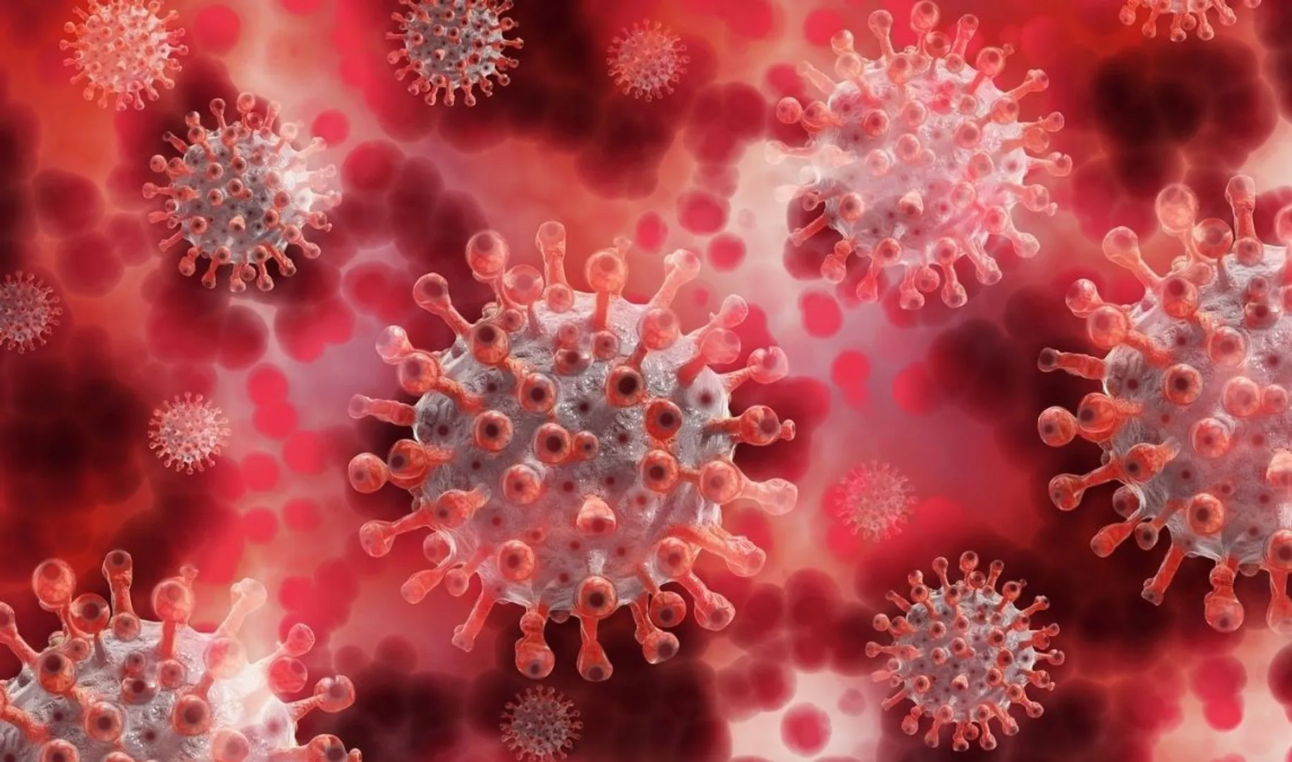 Next Covid variant may be more dangerous than Omicron, say scientists